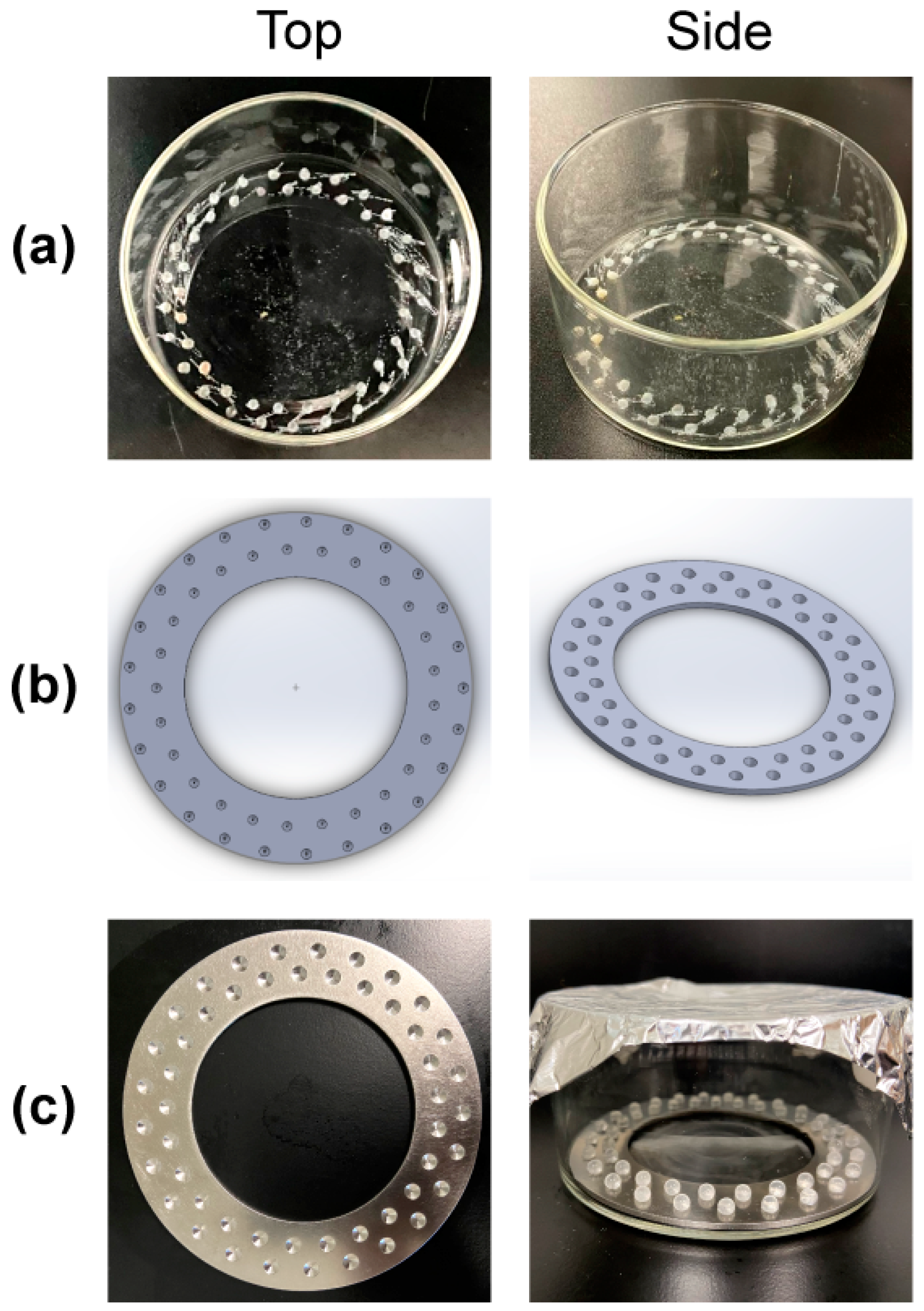 Microorganisms 12 01588 g001