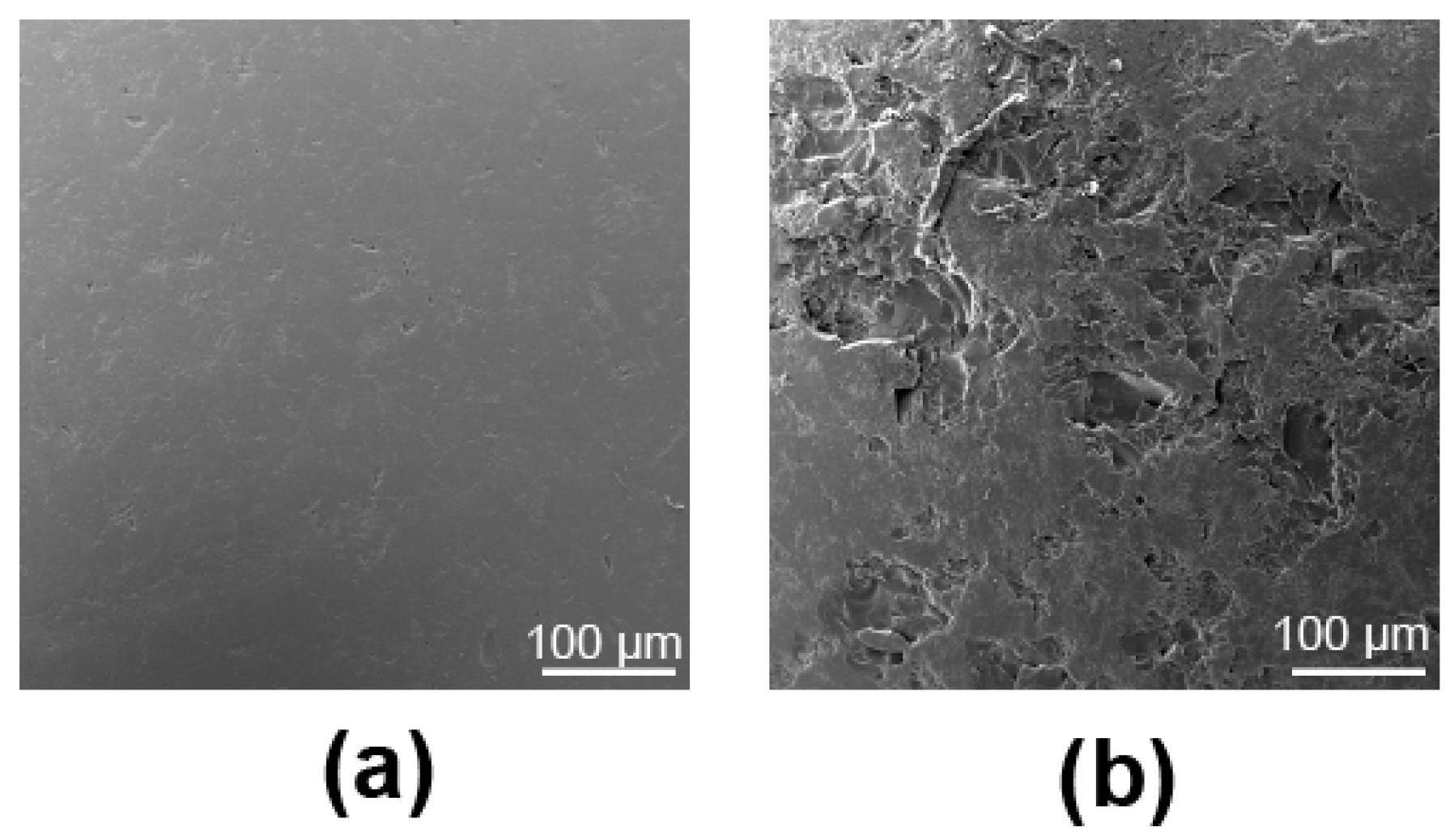 Microorganisms 12 01588 g002