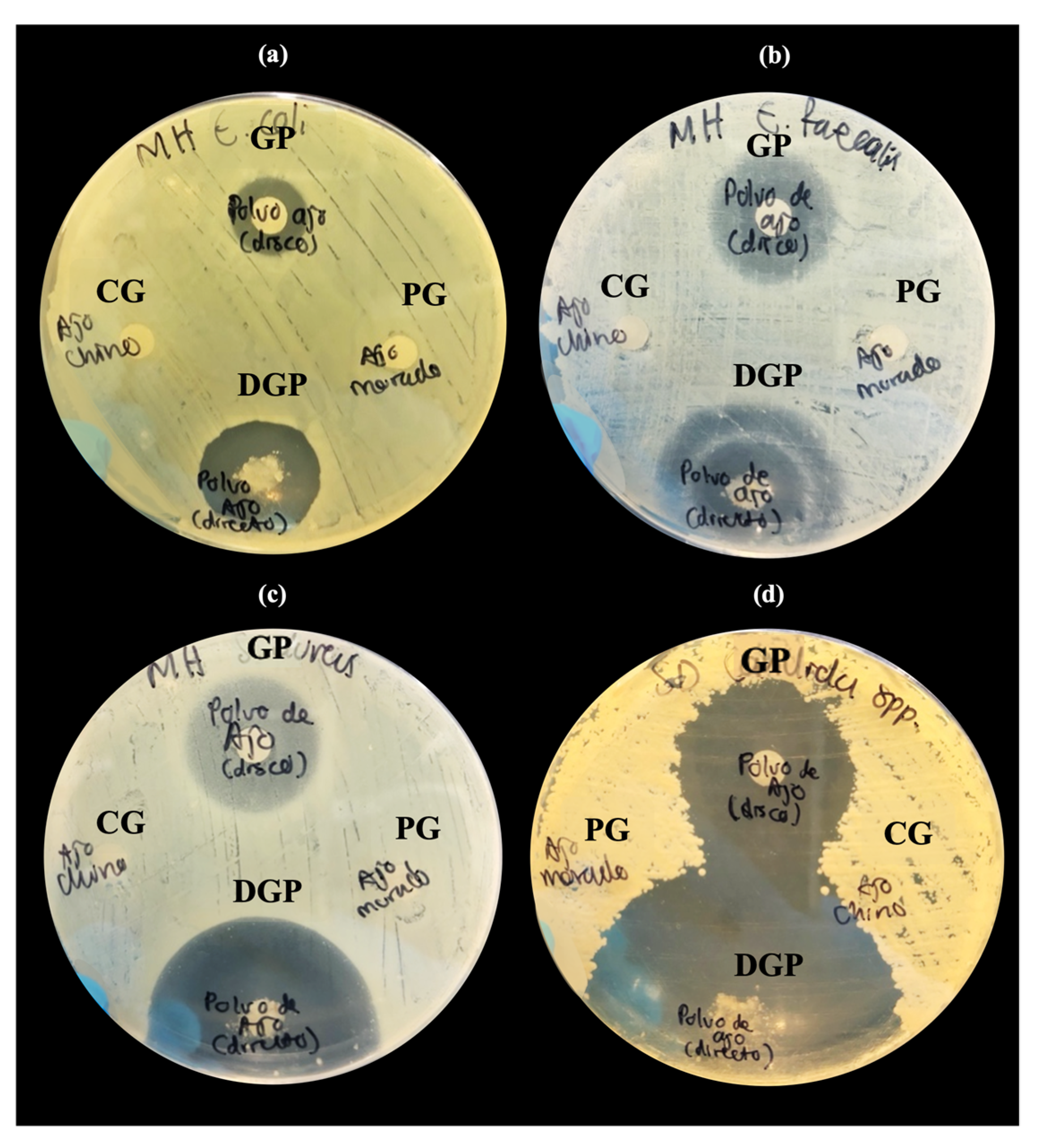 Microorganisms 12 01605 g004