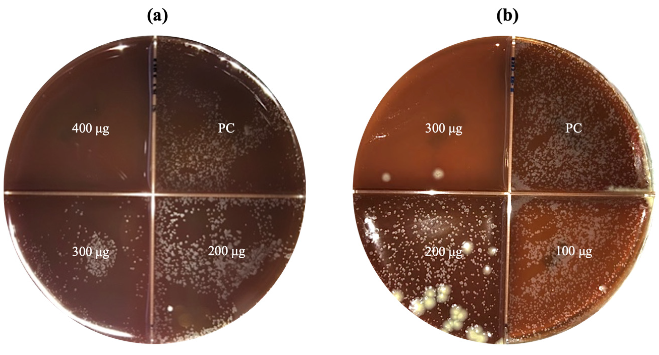Microorganisms 12 01605 g005