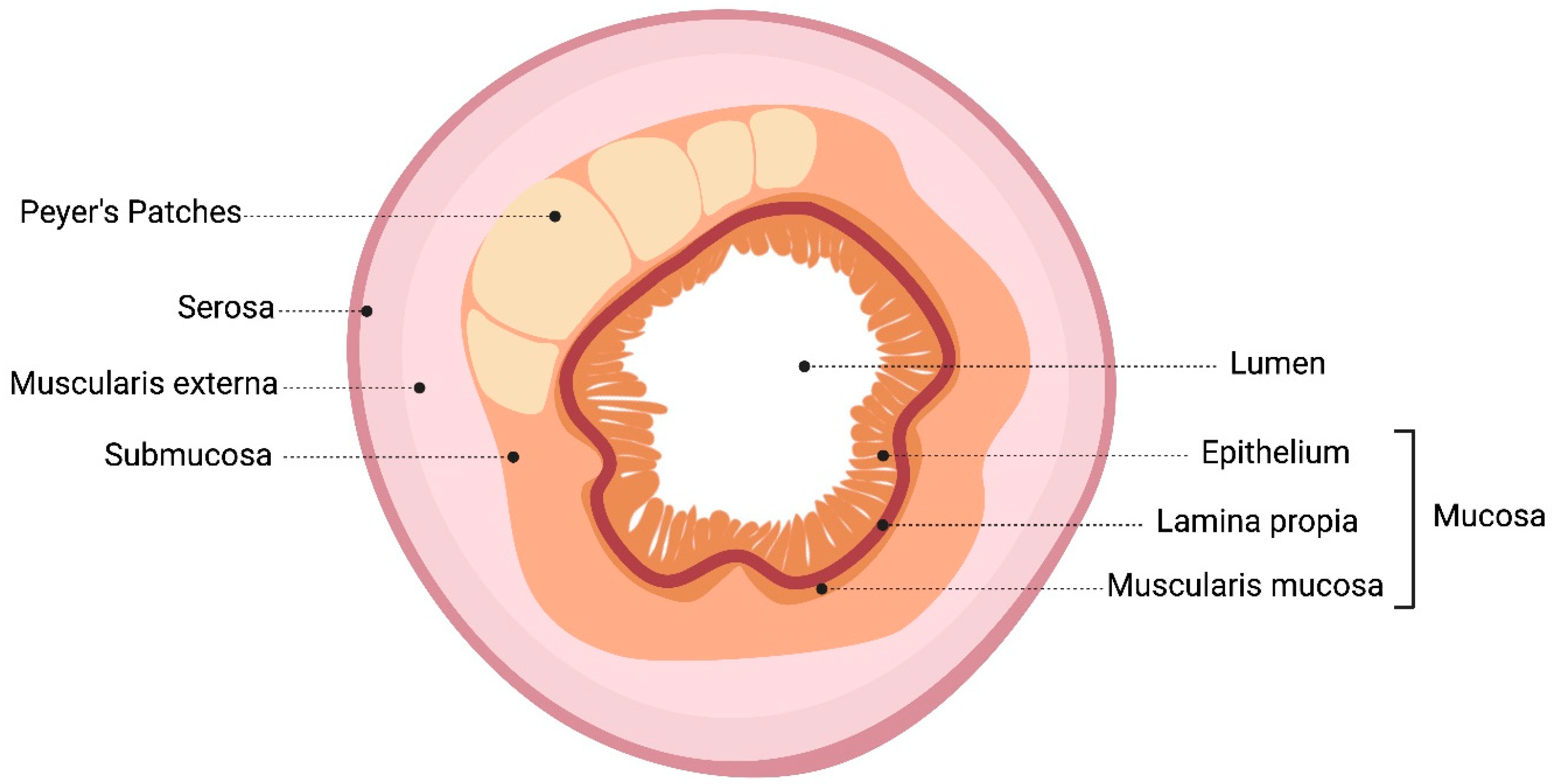 Microorganisms 12 01606 g002