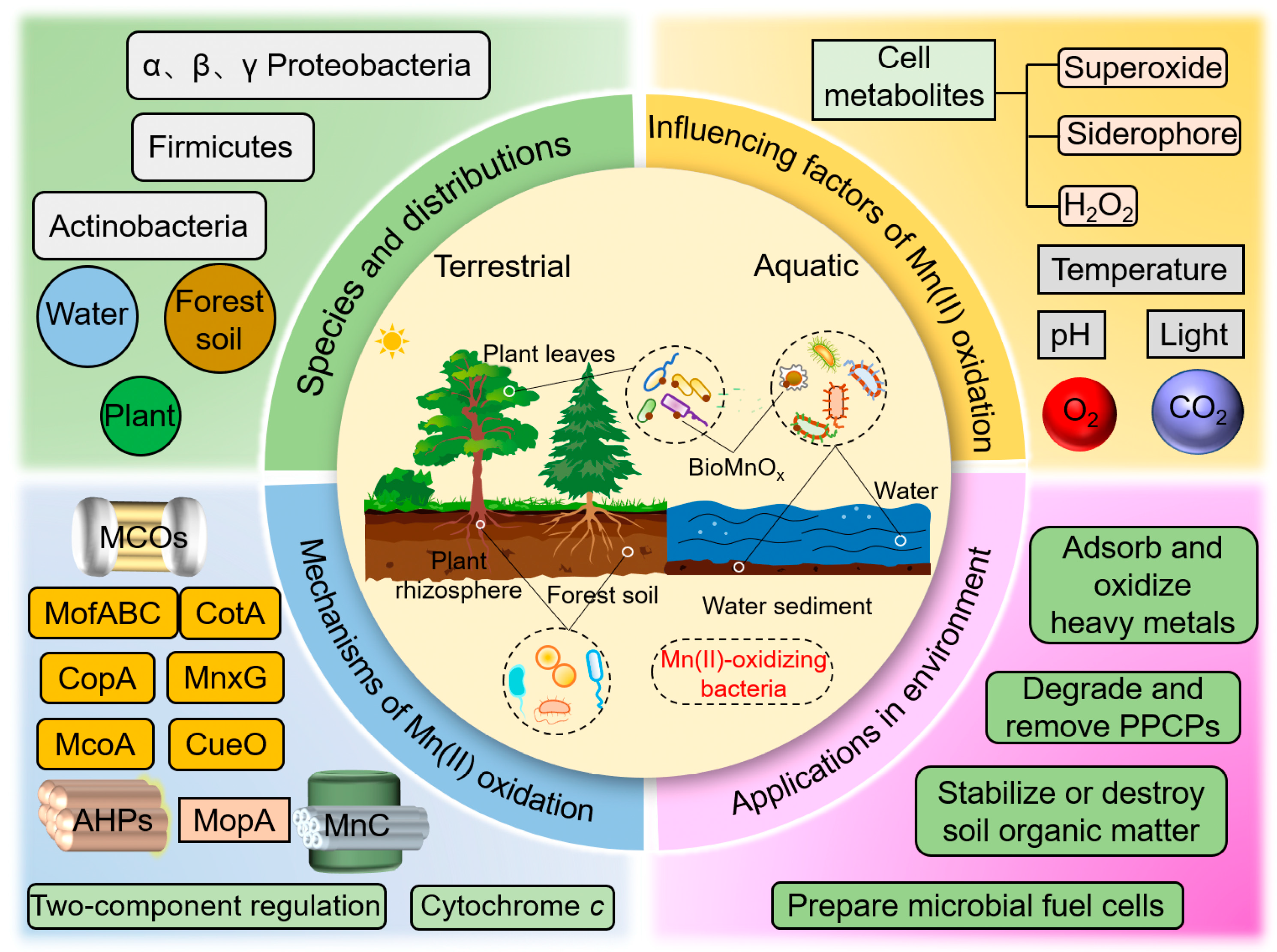 Microorganisms 12 01611 g009