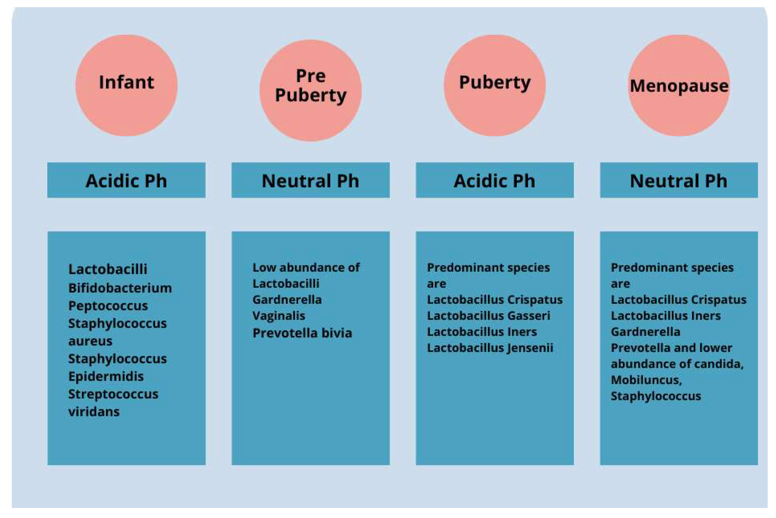 Microorganisms 12 01614 g001