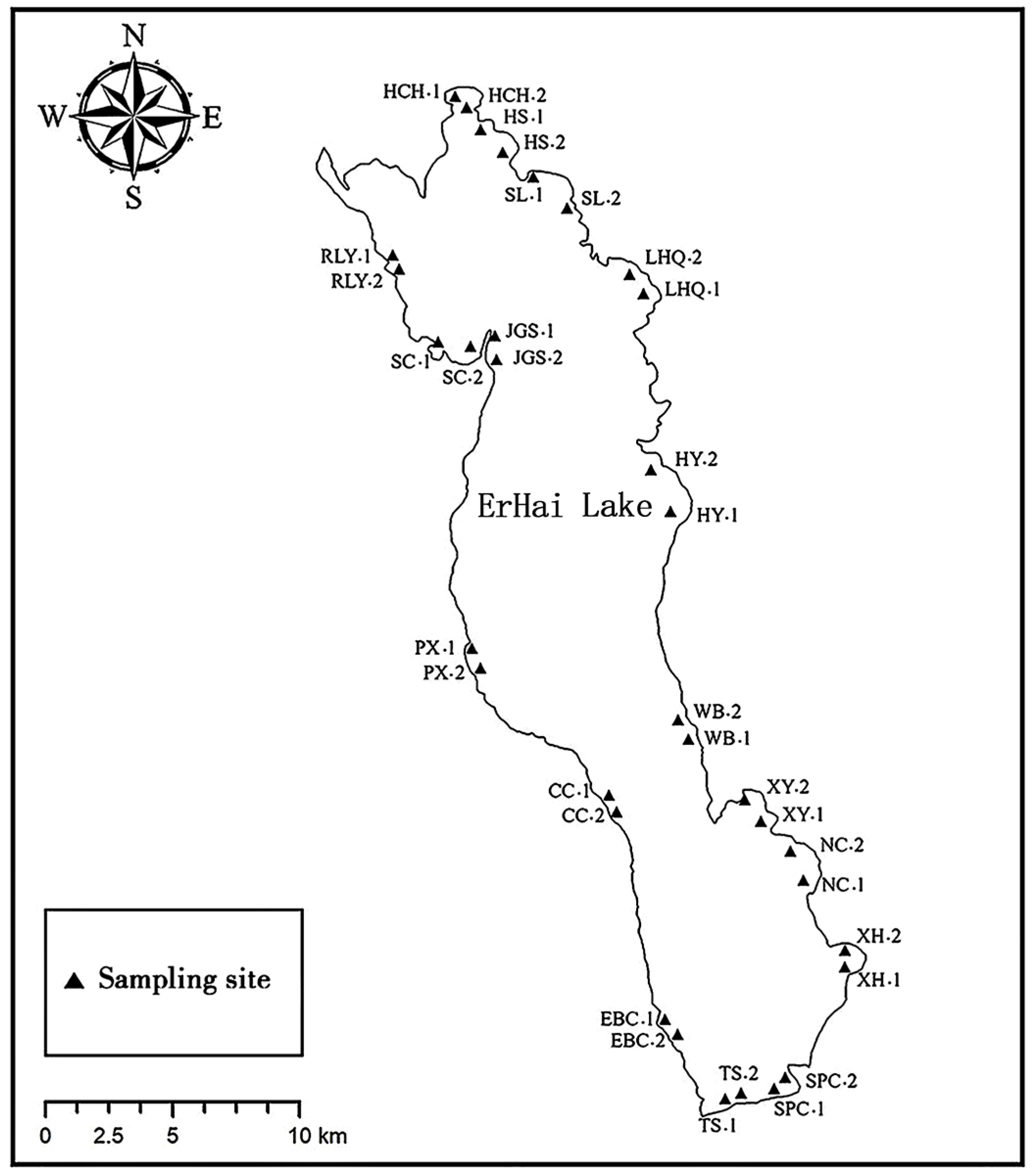 Microorganisms 12 01617 g001