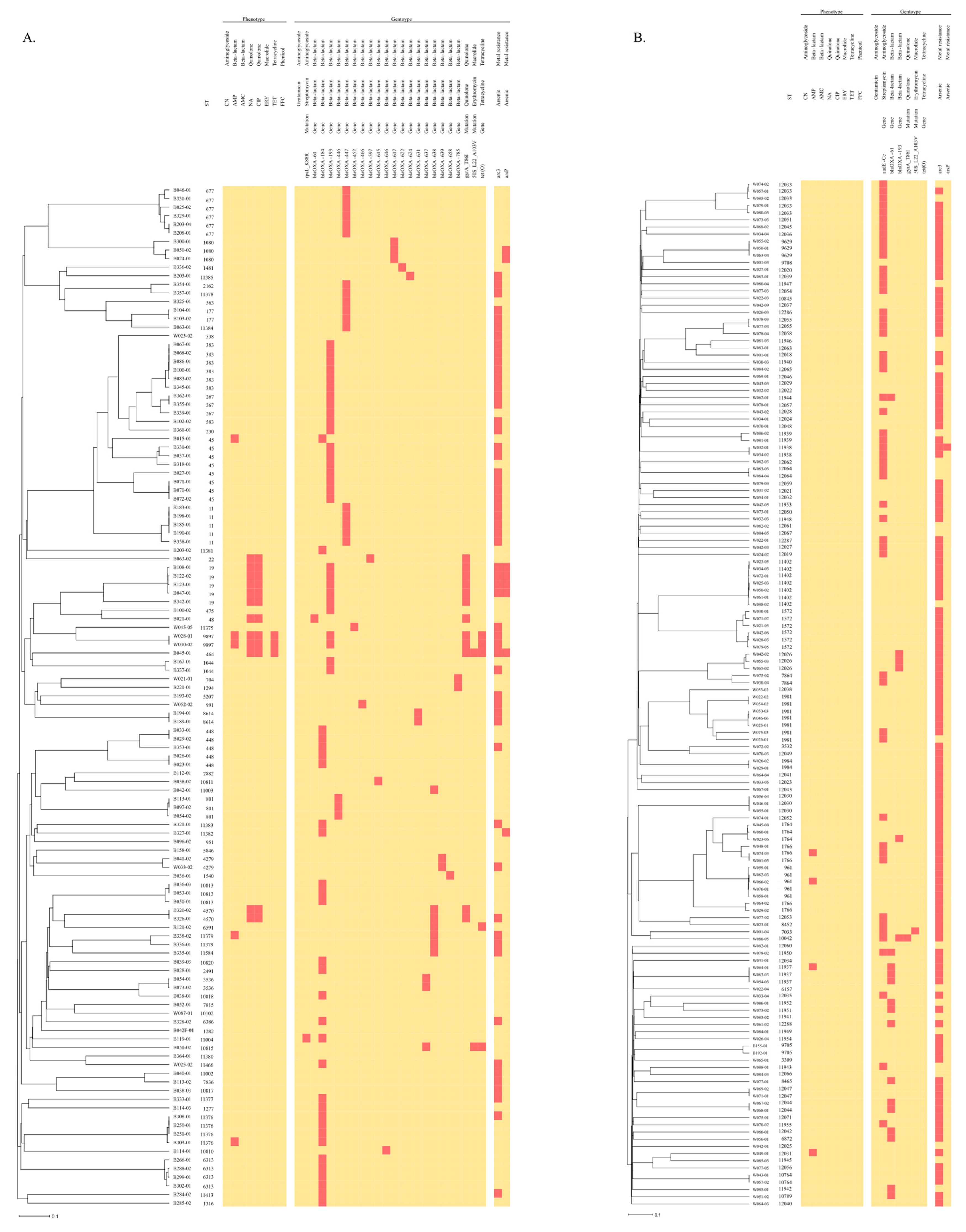 Microorganisms 12 01621 g003