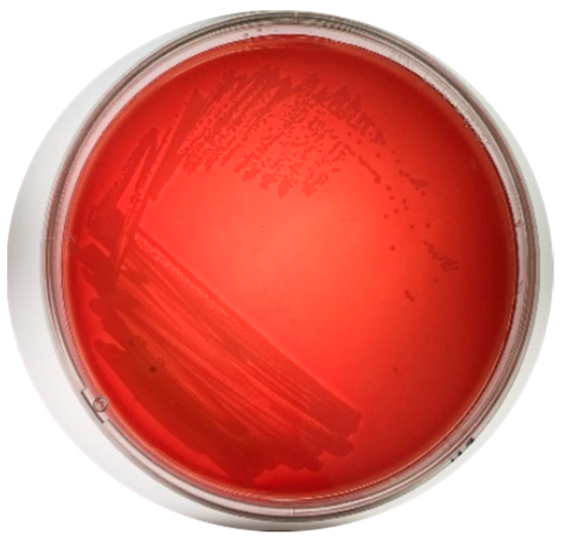 Microorganisms 12 01623 g004