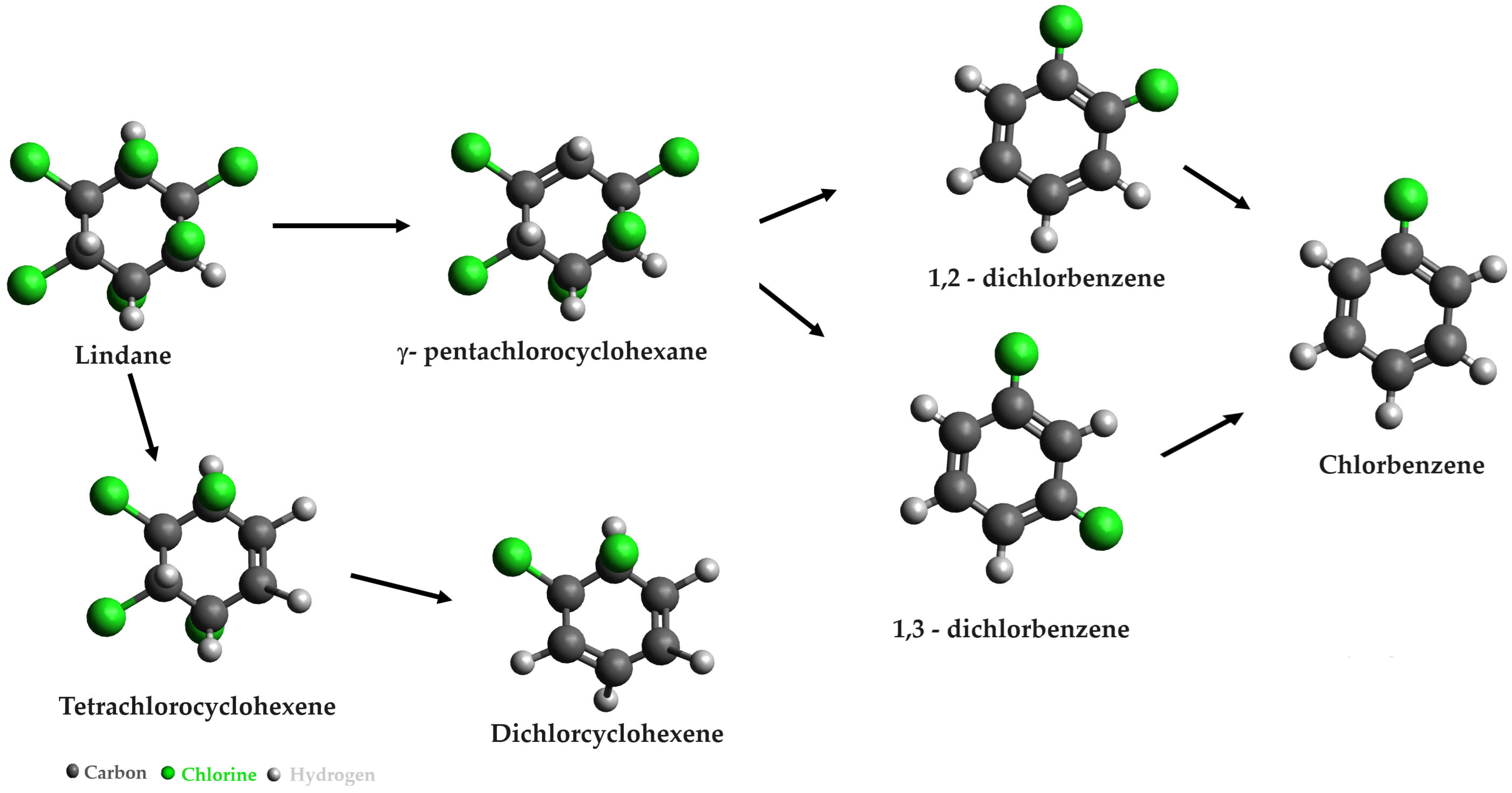 Microorganisms 12 01632 g004
