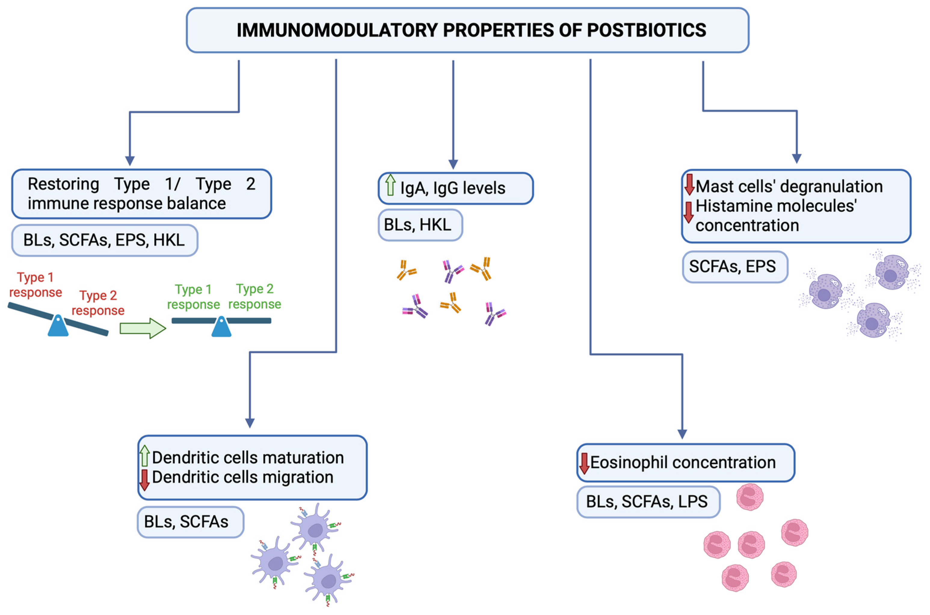 Microorganisms 12 01642 g001