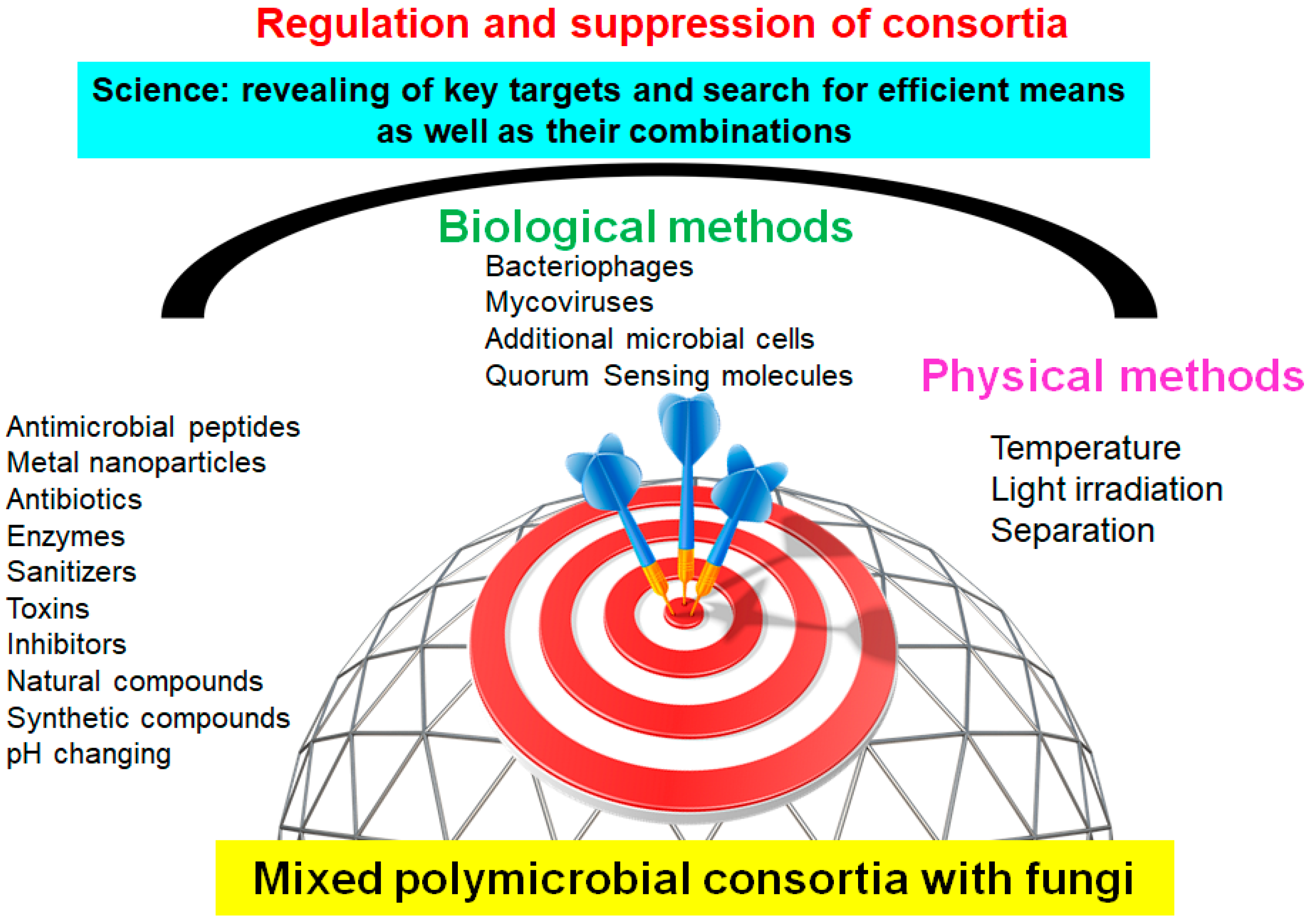 Microorganisms 12 01650 g002