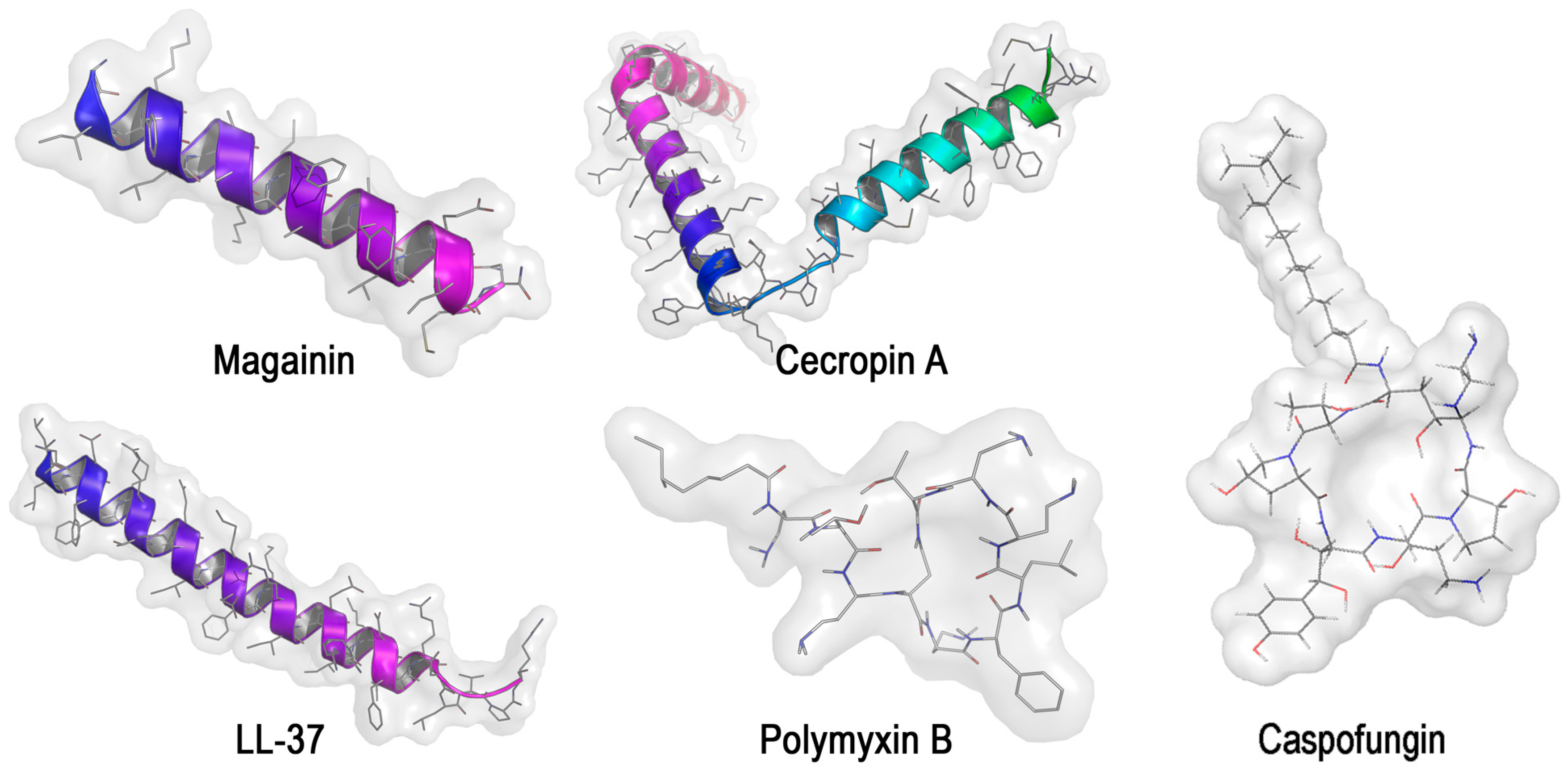 Microorganisms 12 01650 g004