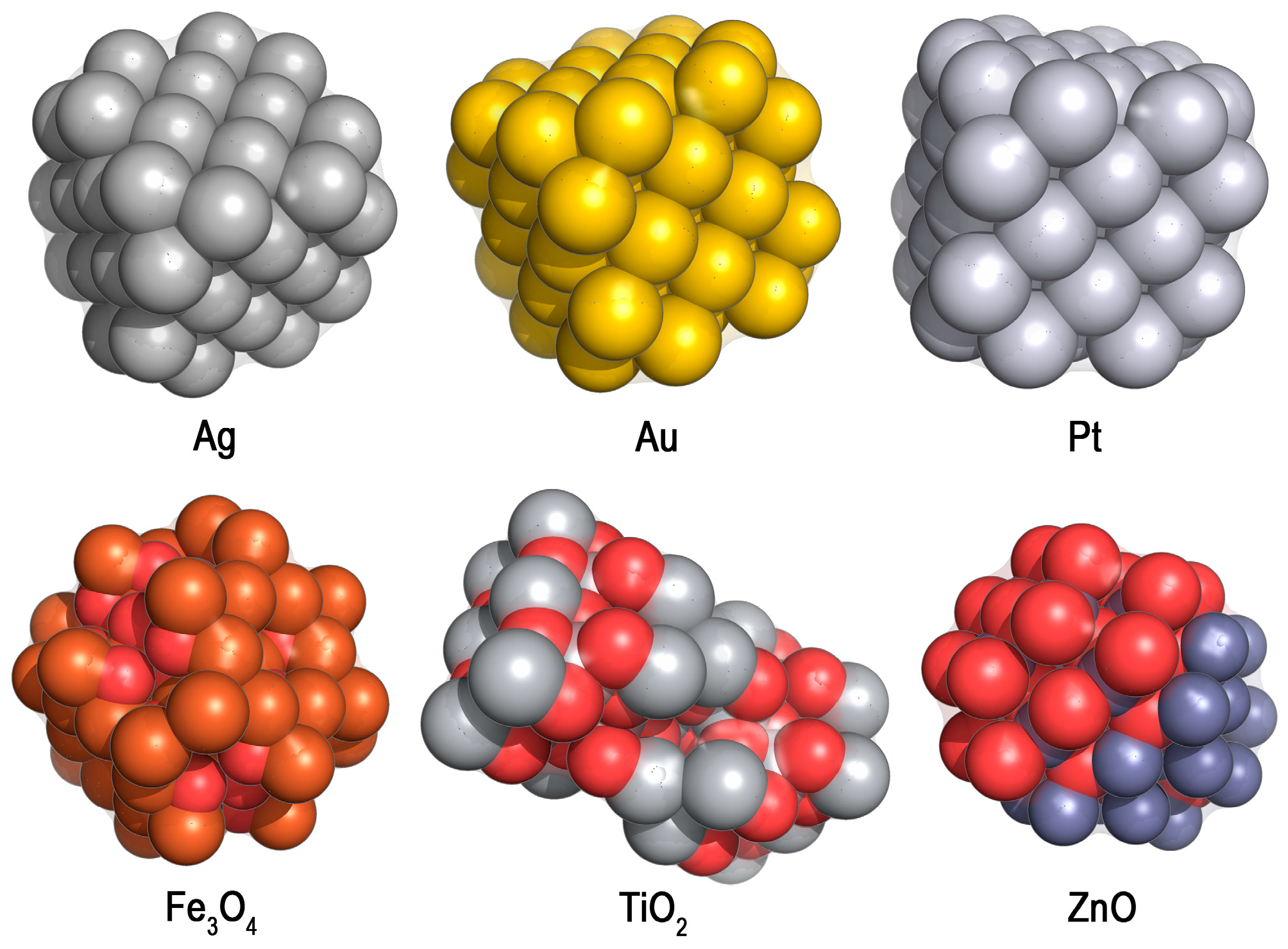 Microorganisms 12 01650 g005