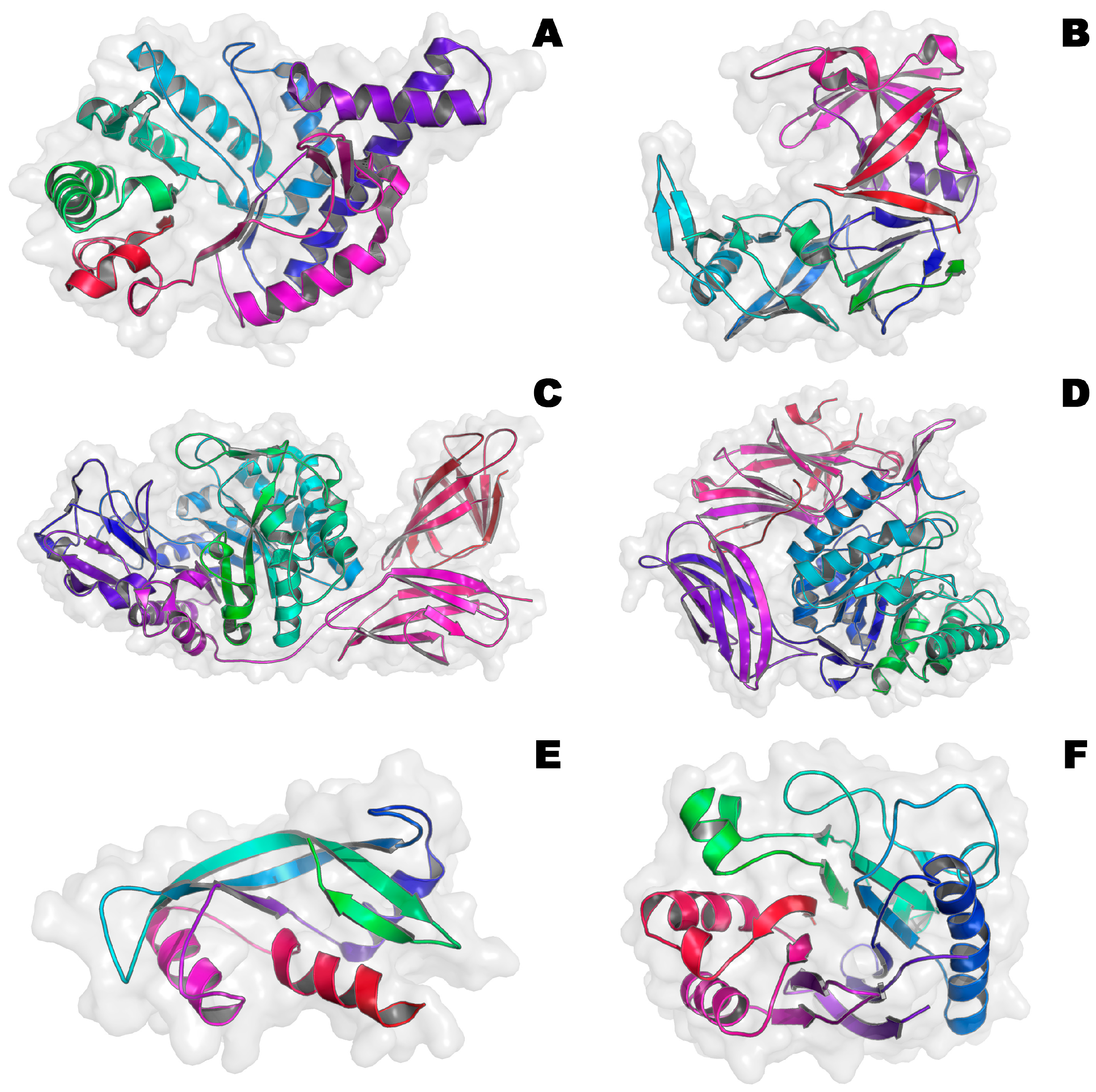 Microorganisms 12 01650 g006