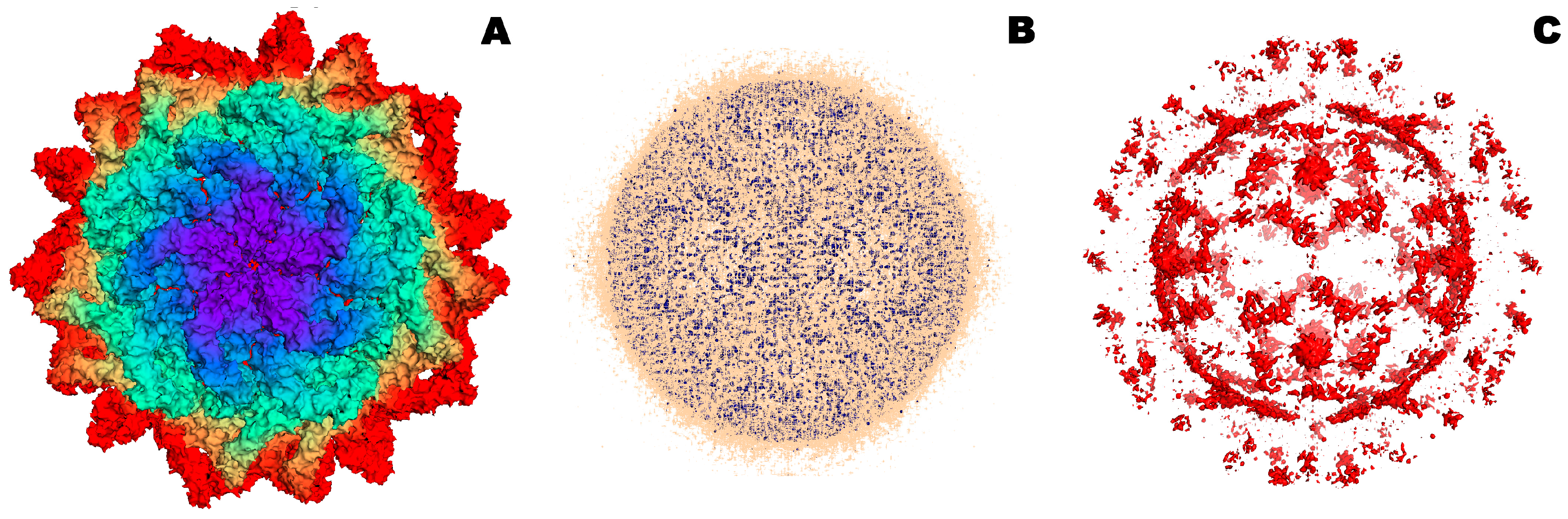 Microorganisms 12 01650 g007