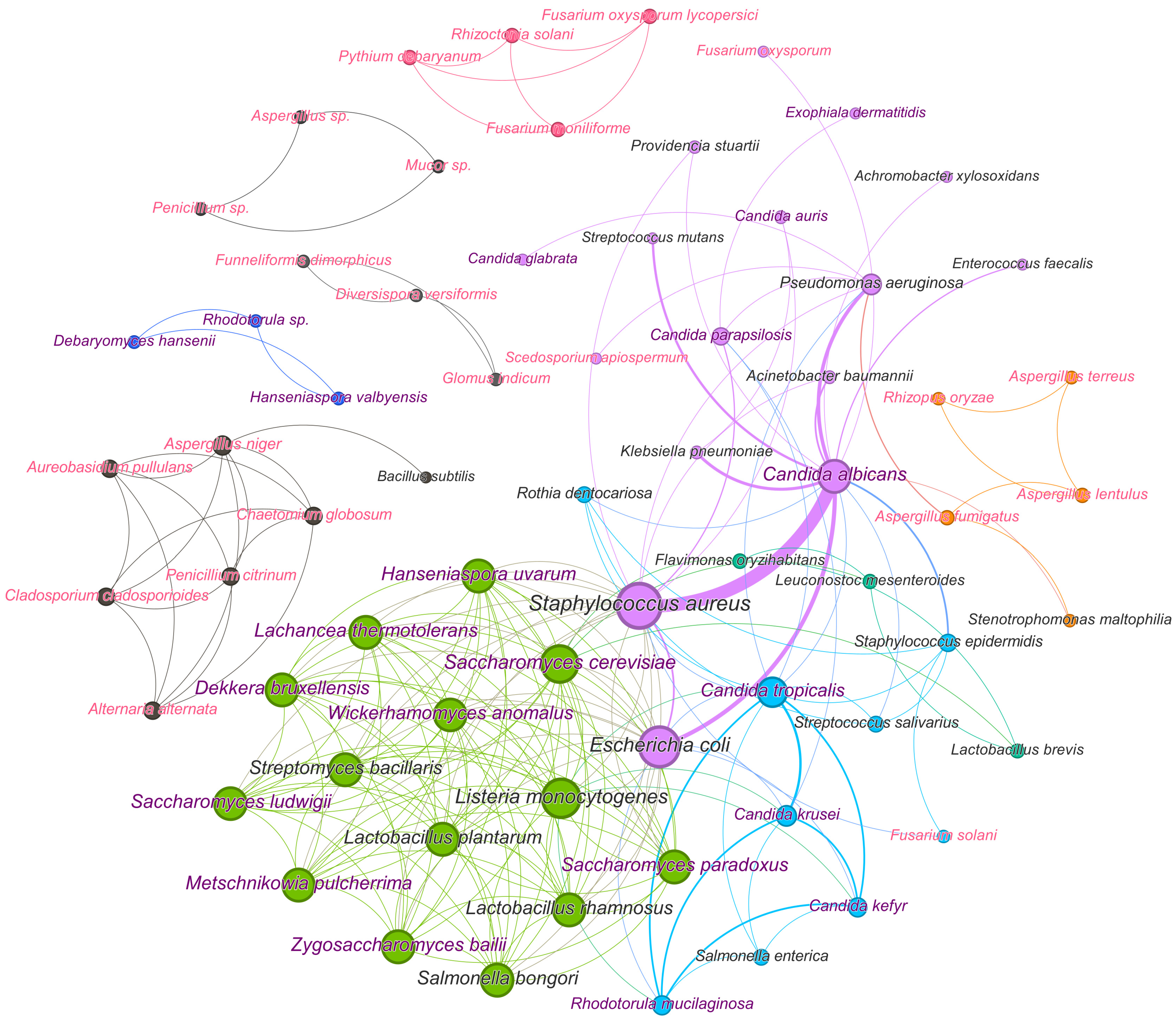 Microorganisms 12 01650 g008