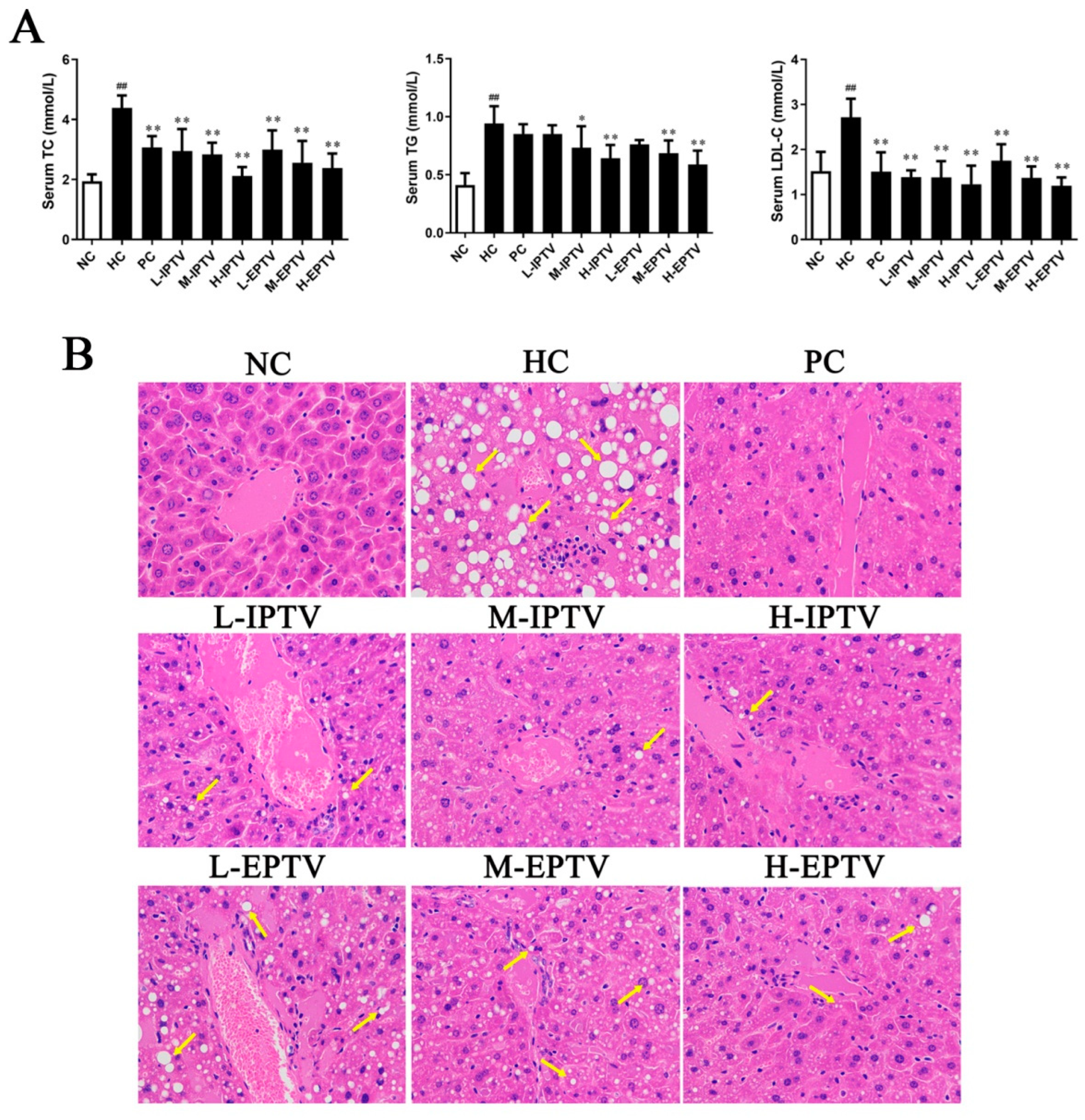 Microorganisms 12 01654 g002