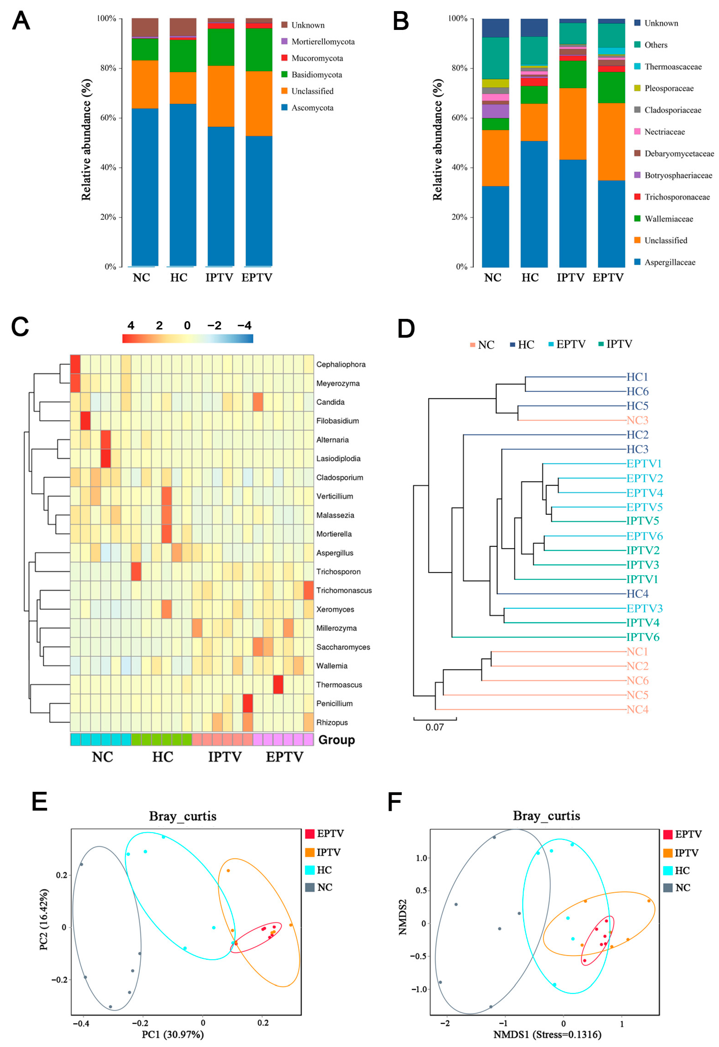 Microorganisms 12 01654 g006