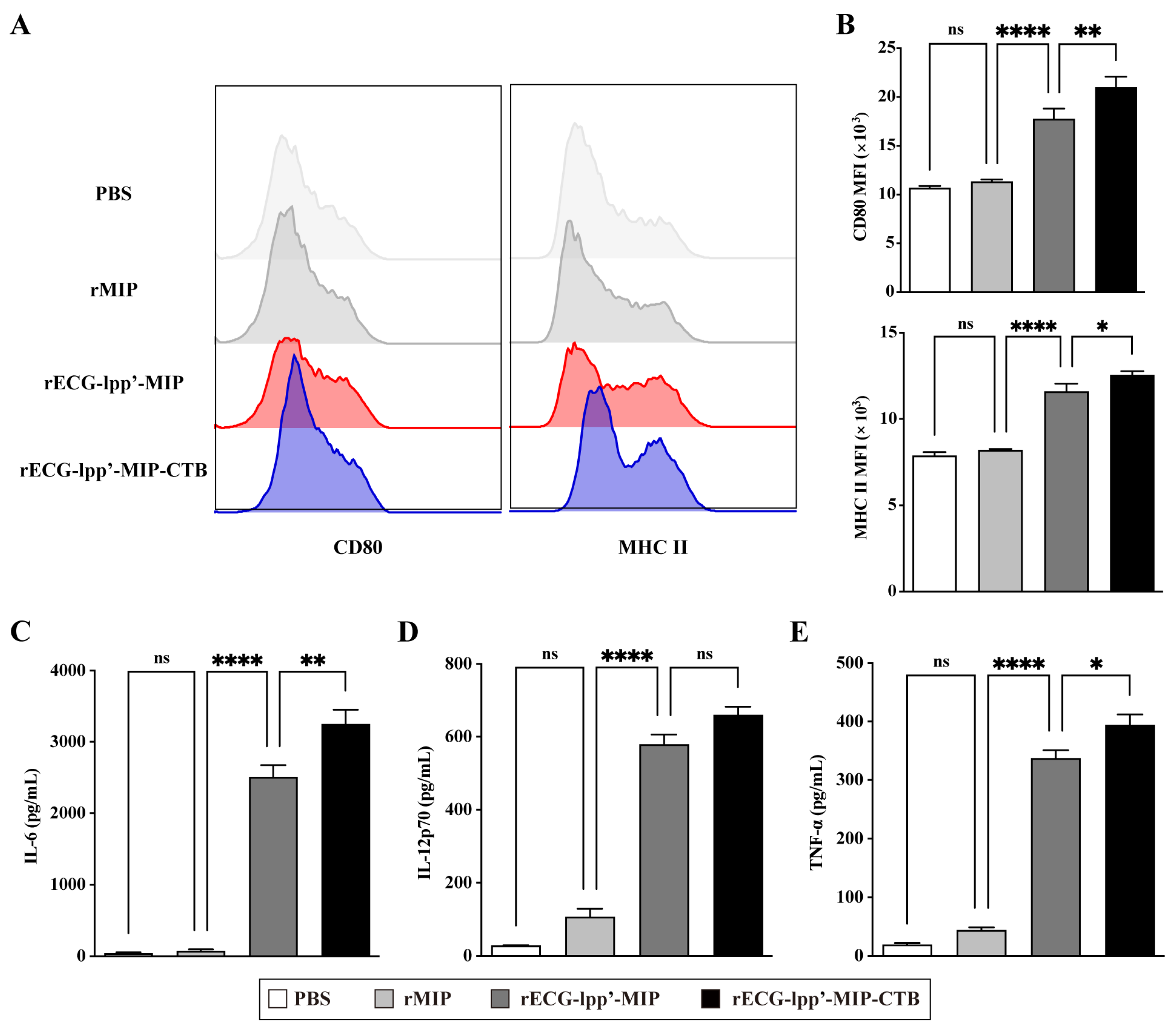 Microorganisms 12 01656 g003
