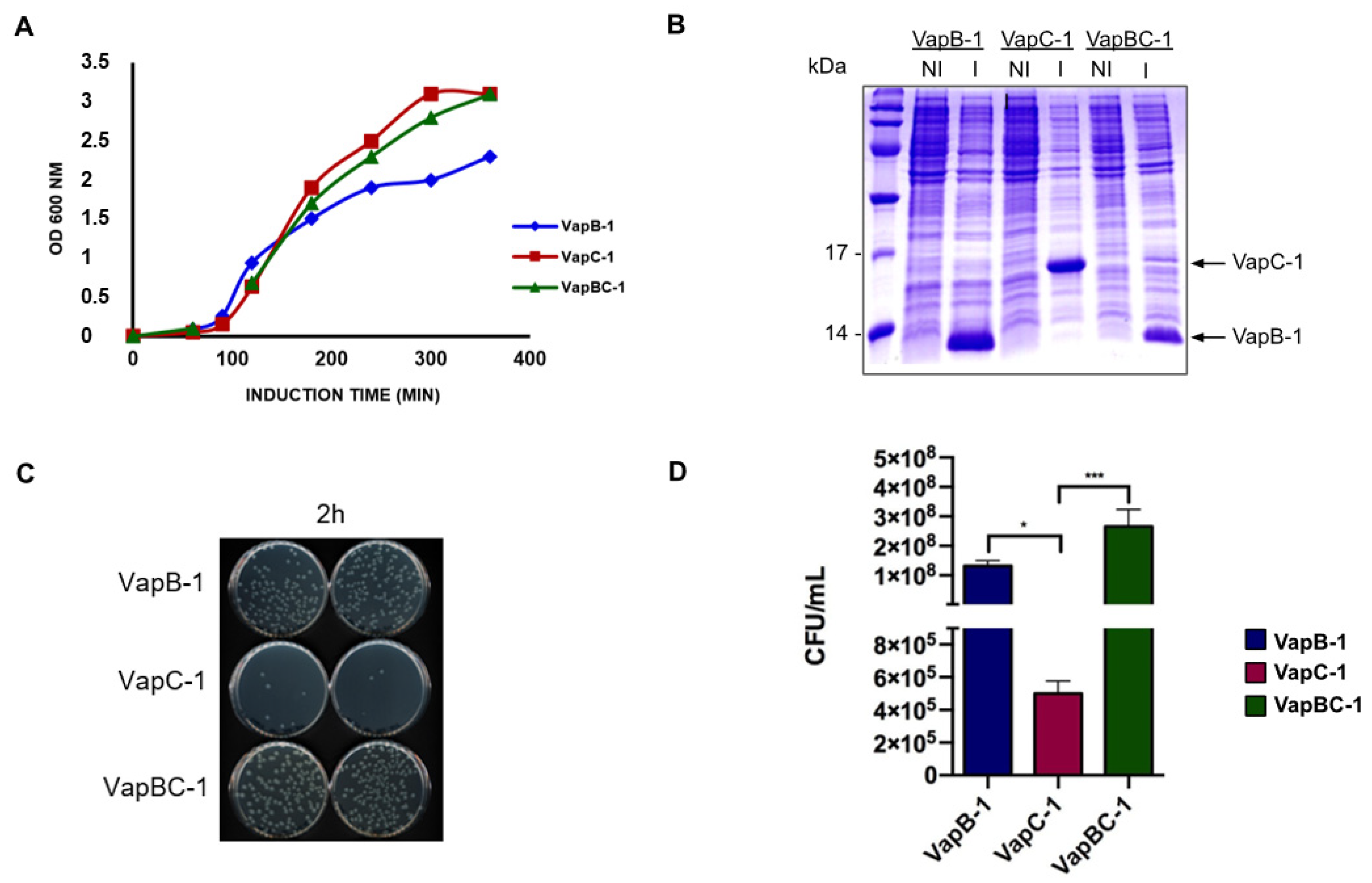 Microorganisms 12 01660 g004