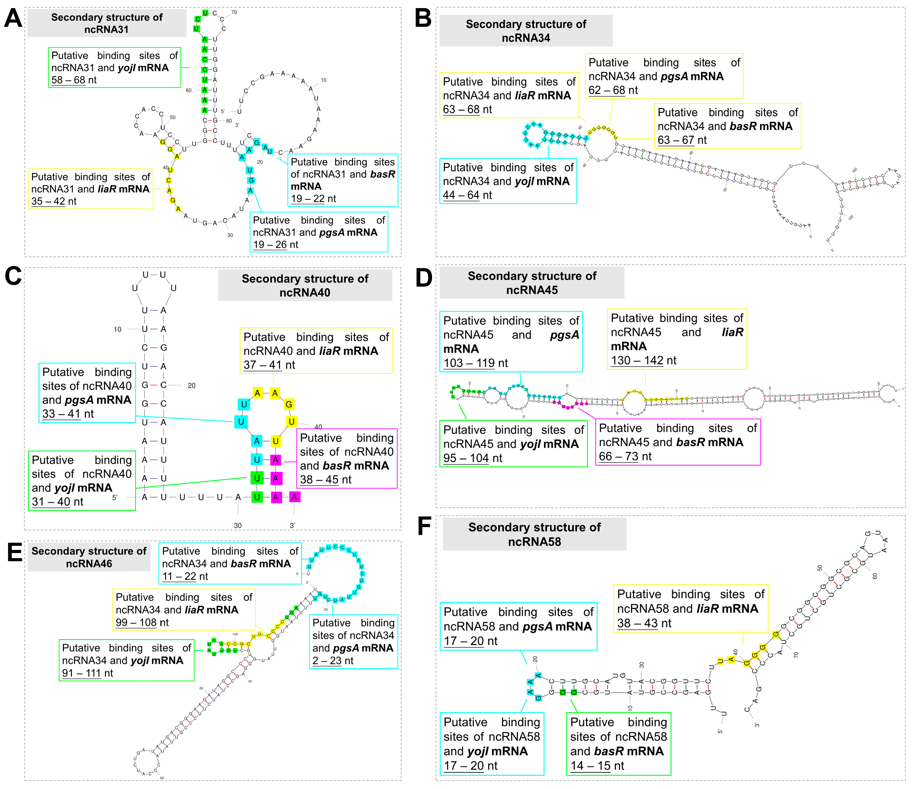 Microorganisms 12 01661 g003