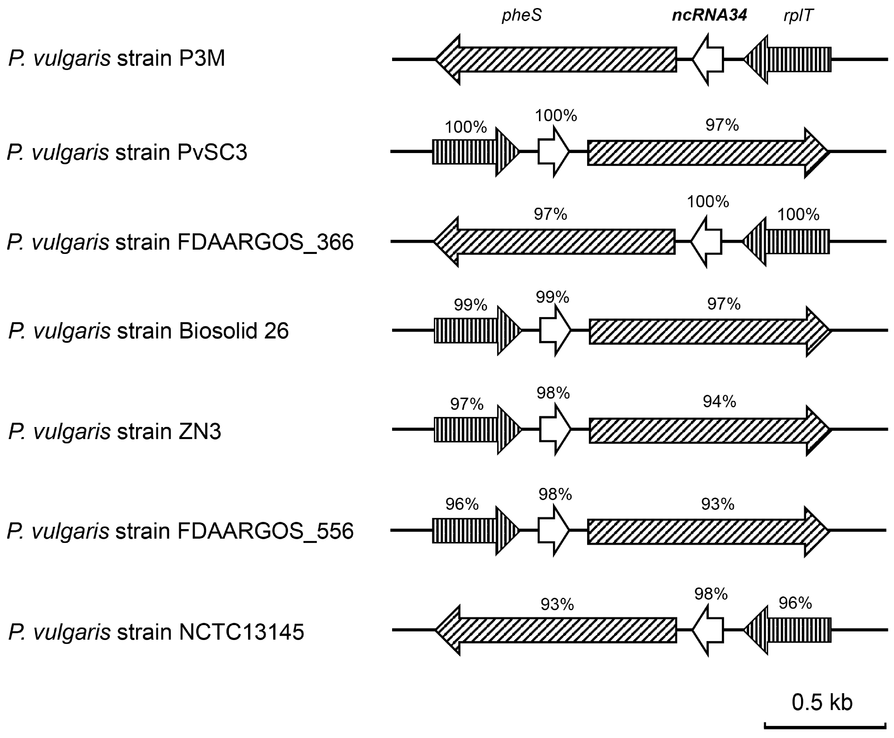 Microorganisms 12 01661 g006