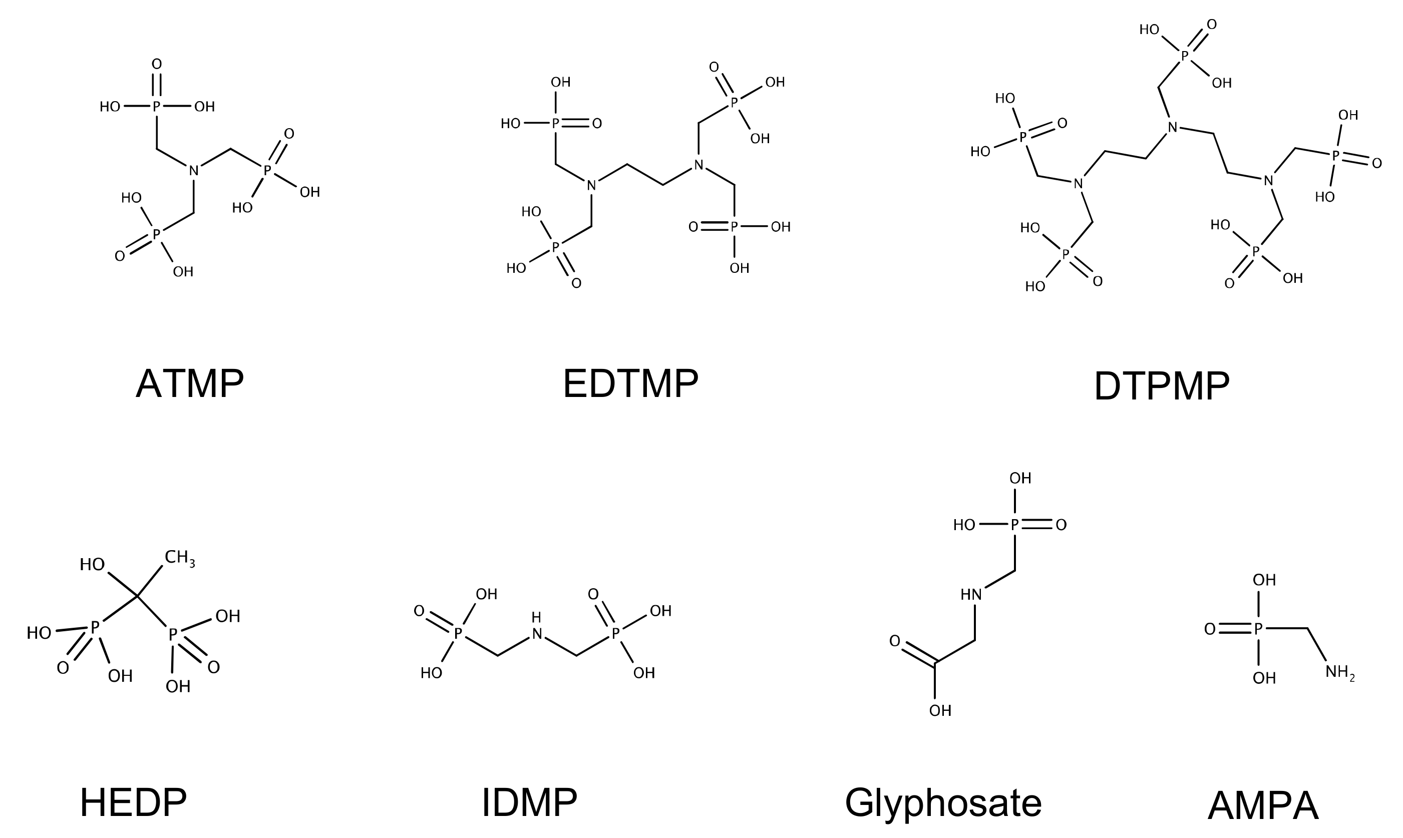 Microorganisms 12 01664 g001