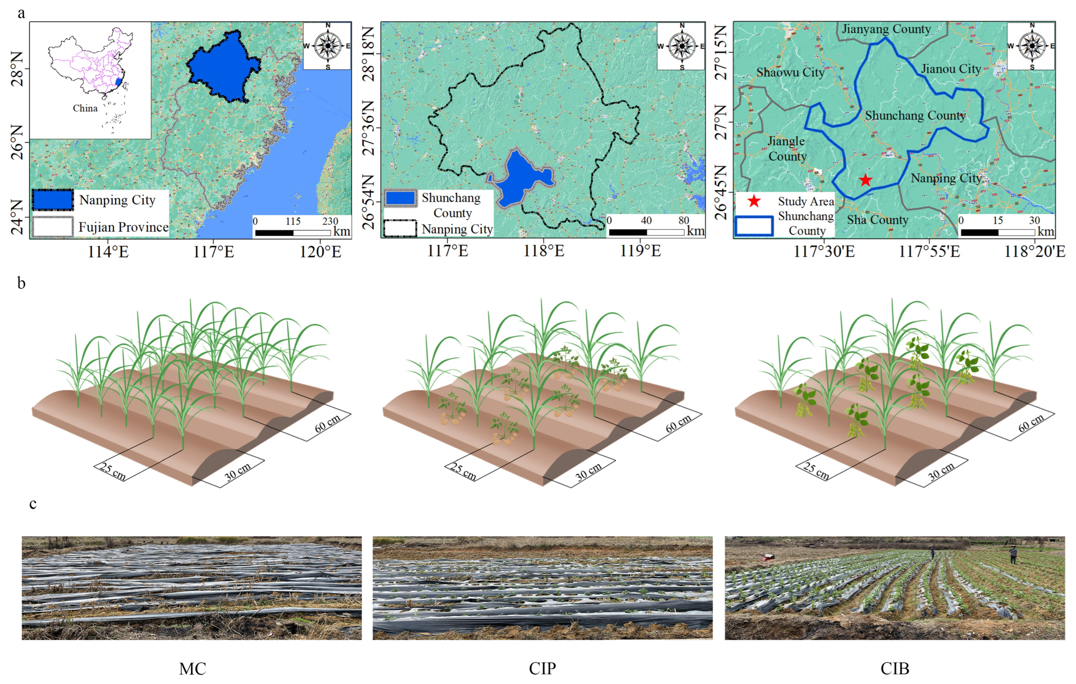 Microorganisms 12 01665 g001