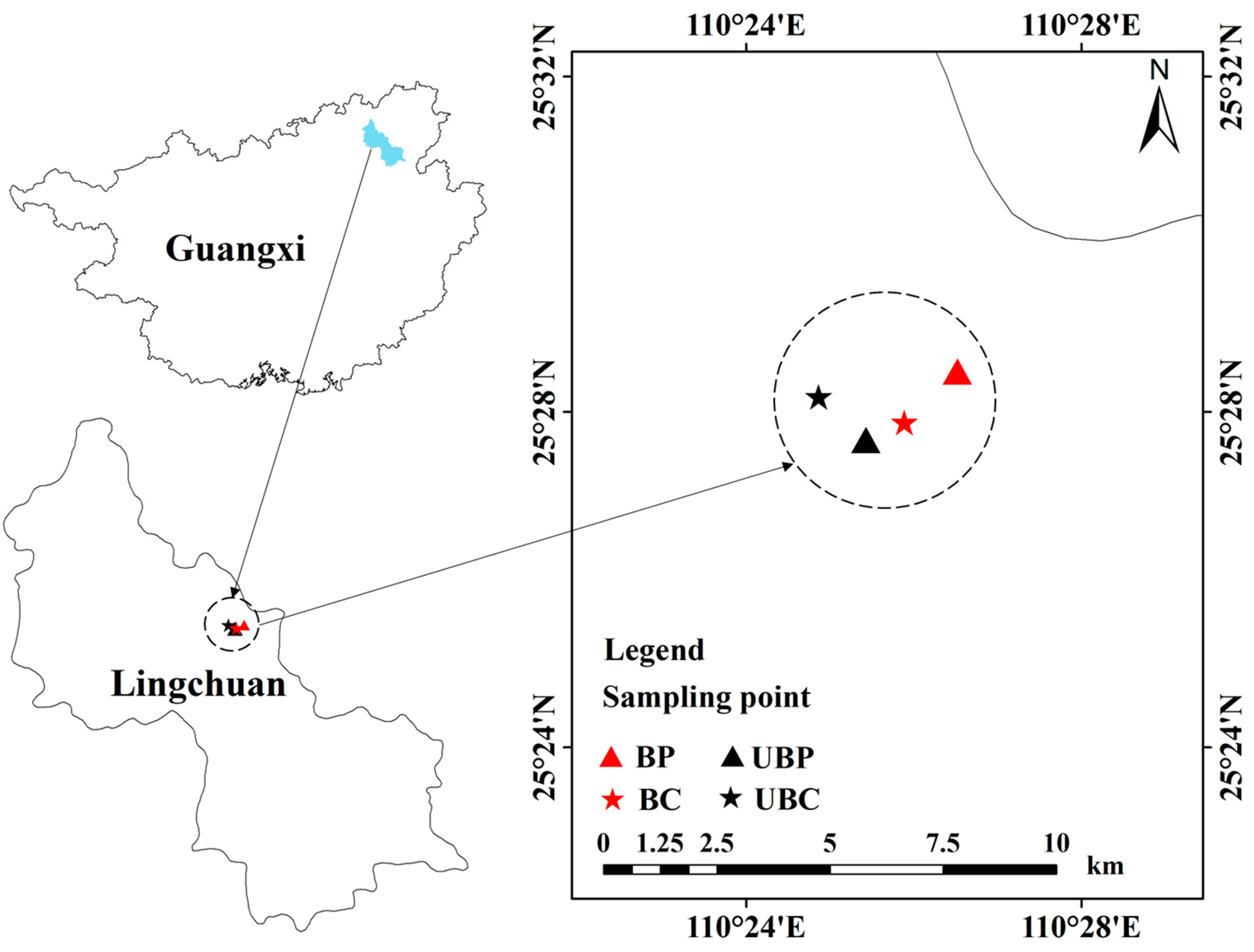 Microorganisms 12 01666 g001