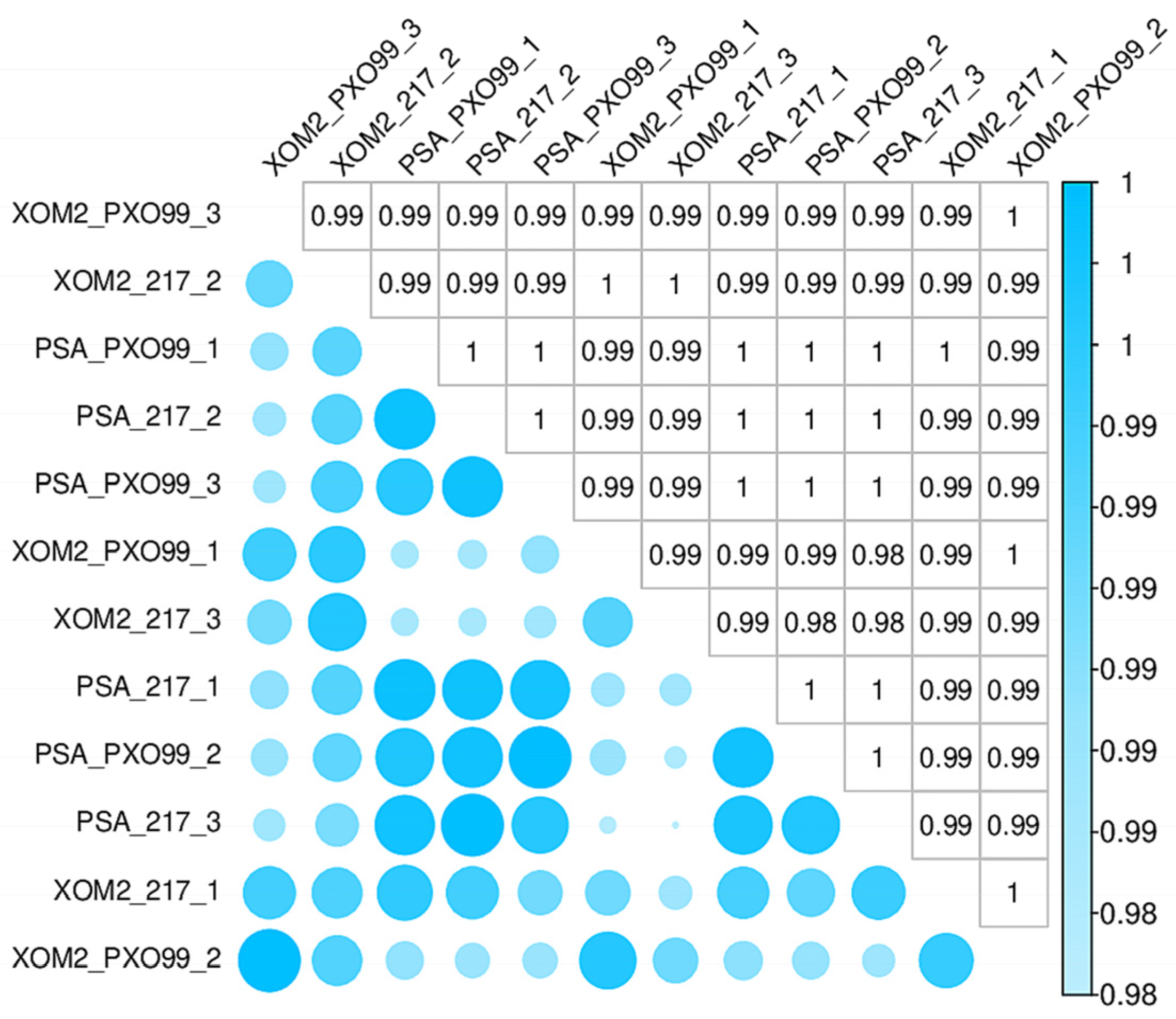 Microorganisms 12 01684 g001