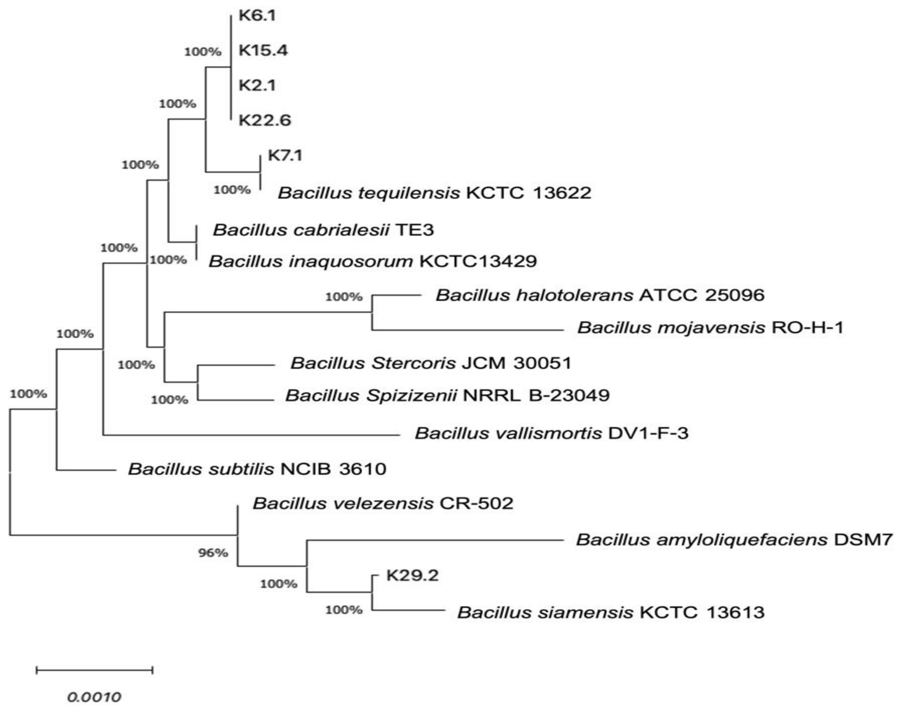 Microorganisms 12 01687 g003