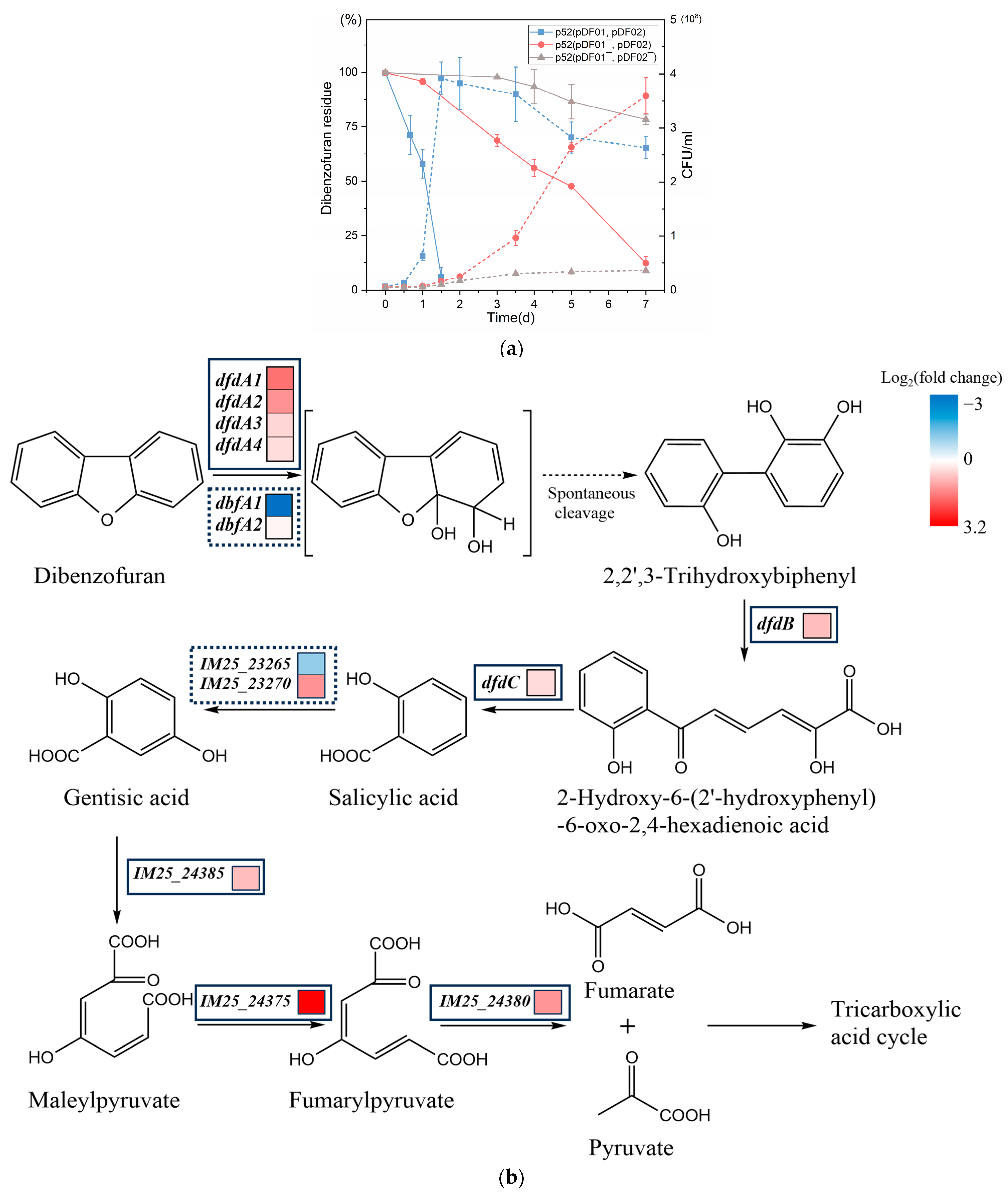 Microorganisms 12 01700 g002