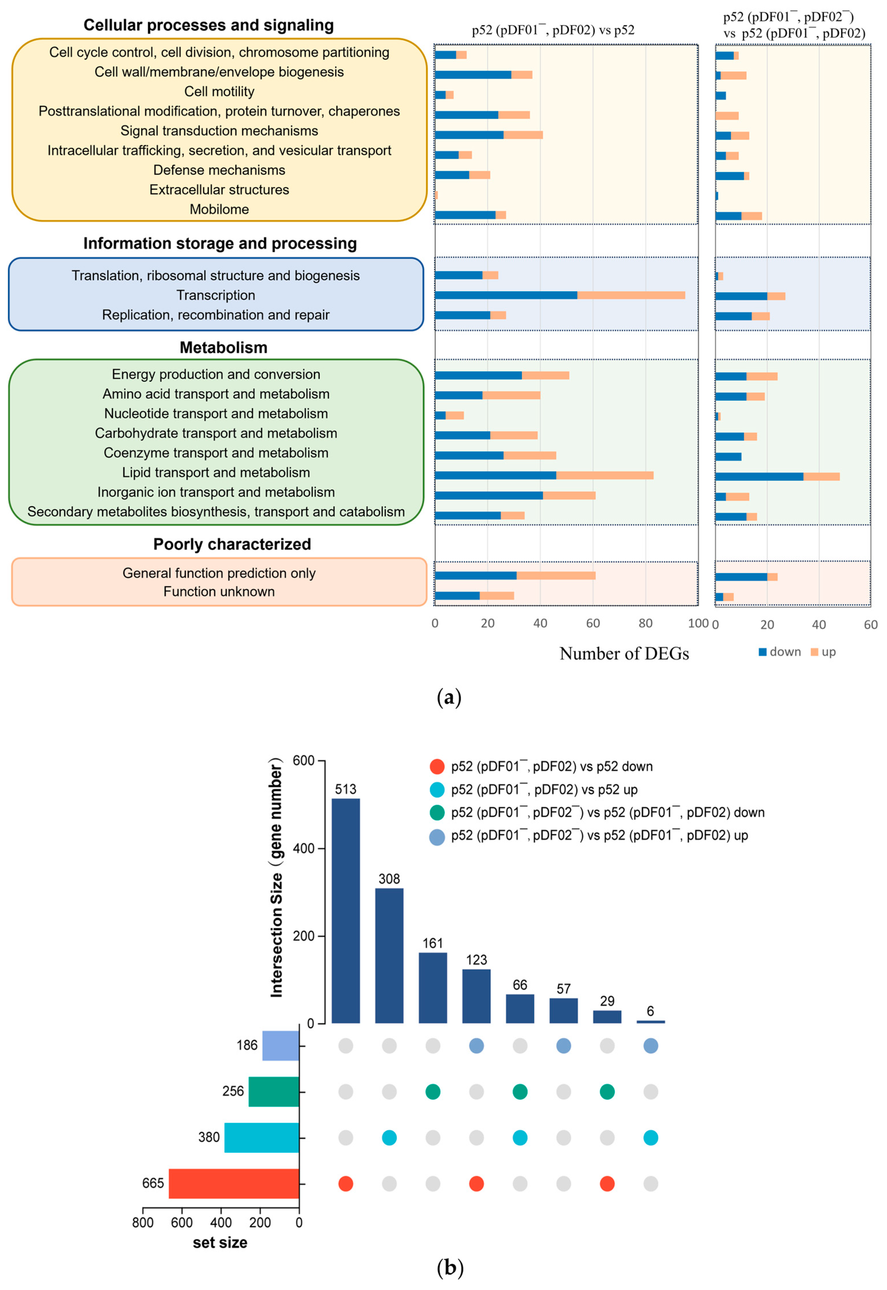 Microorganisms 12 01700 g004