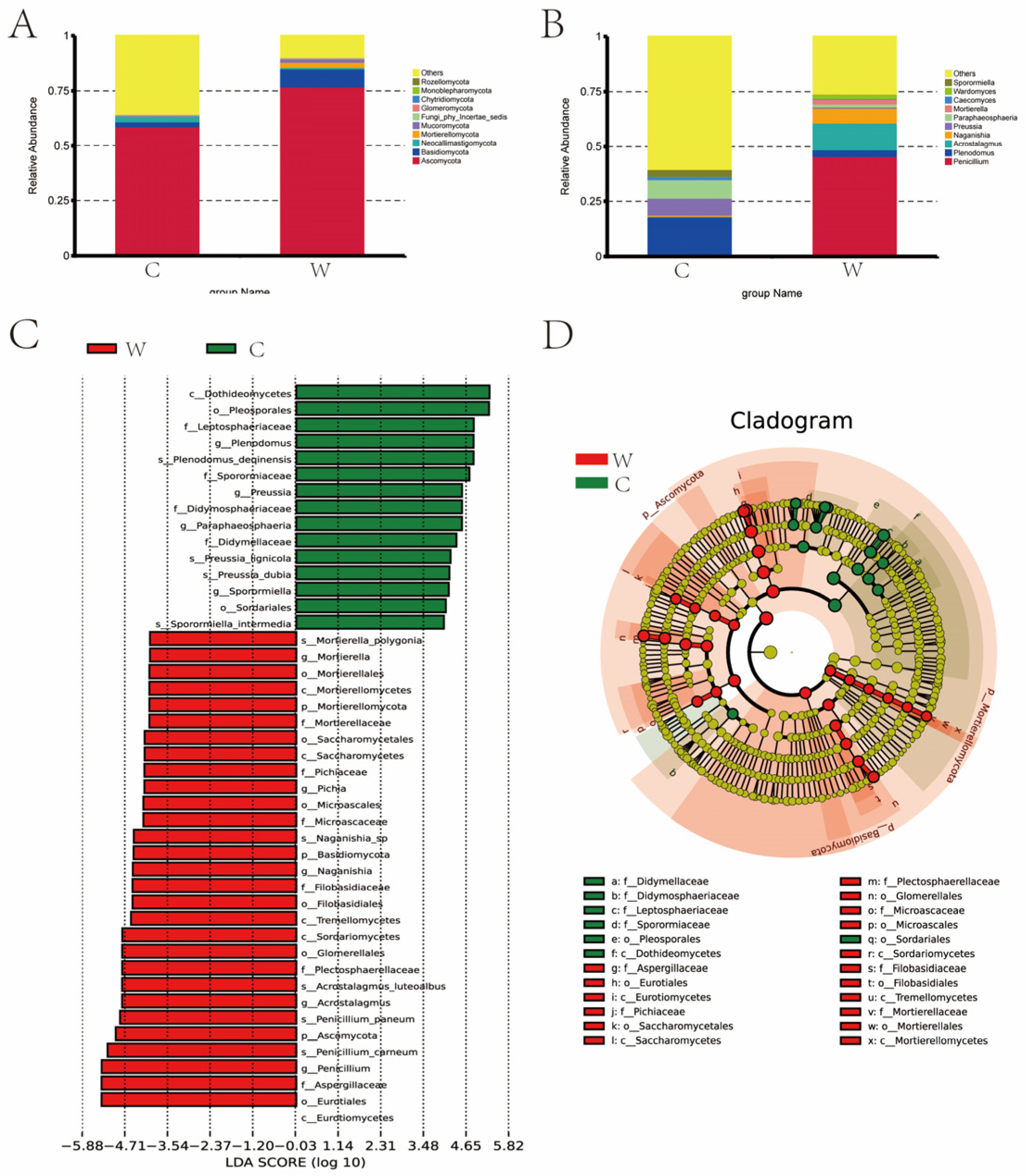 Microorganisms 12 01701 g006