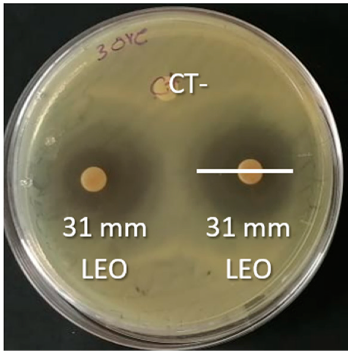 Microorganisms 12 01702 g003