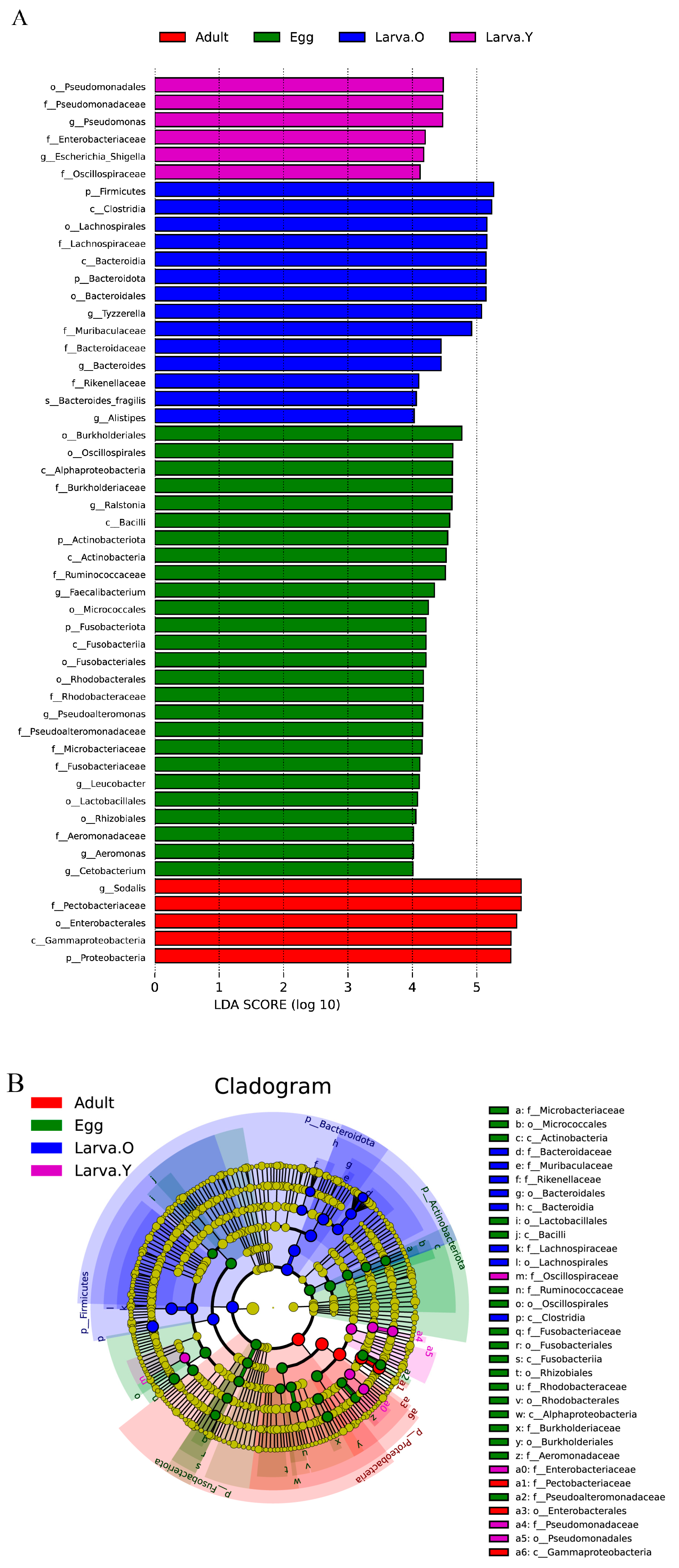 Microorganisms 12 01709 g003