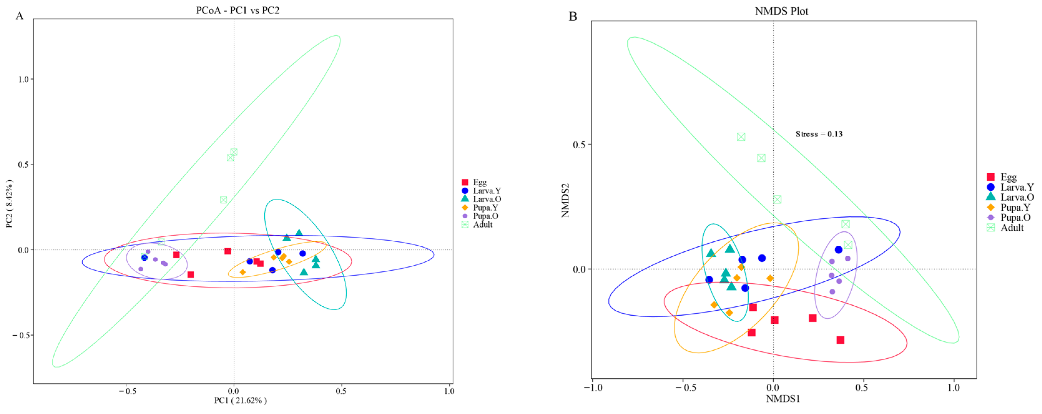 Microorganisms 12 01709 g005