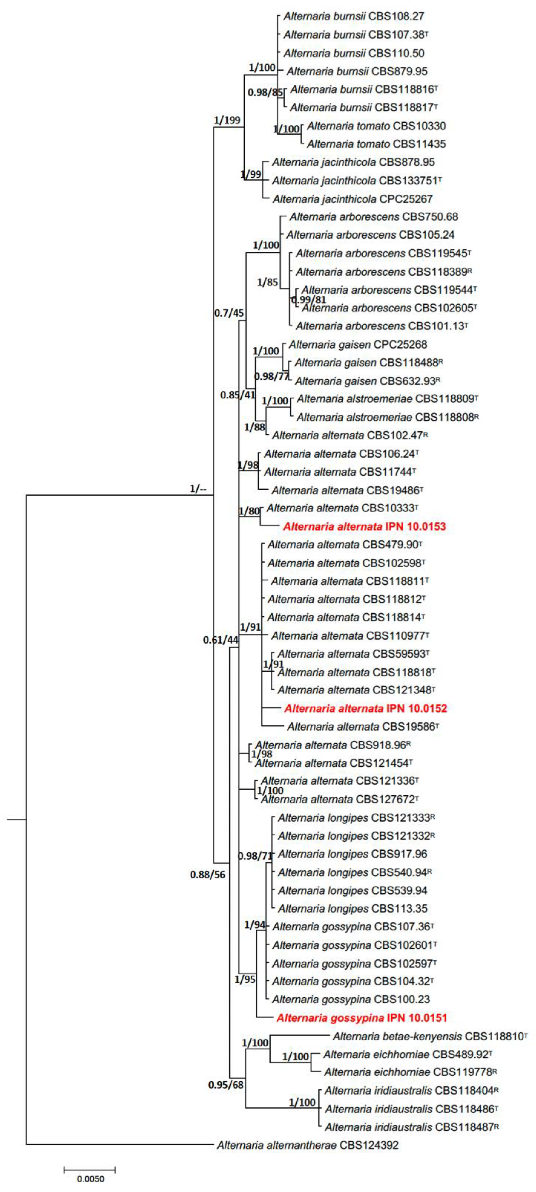 Microorganisms 12 01714 g002