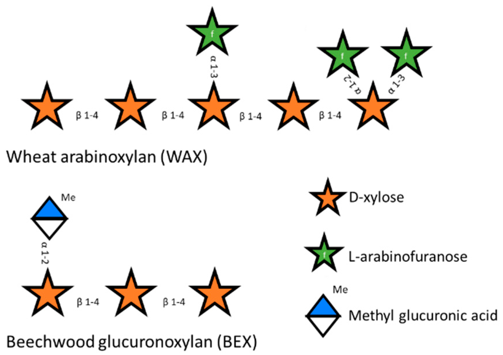 Microorganisms 12 01715 g001 Microorganisms 12 01715 g001