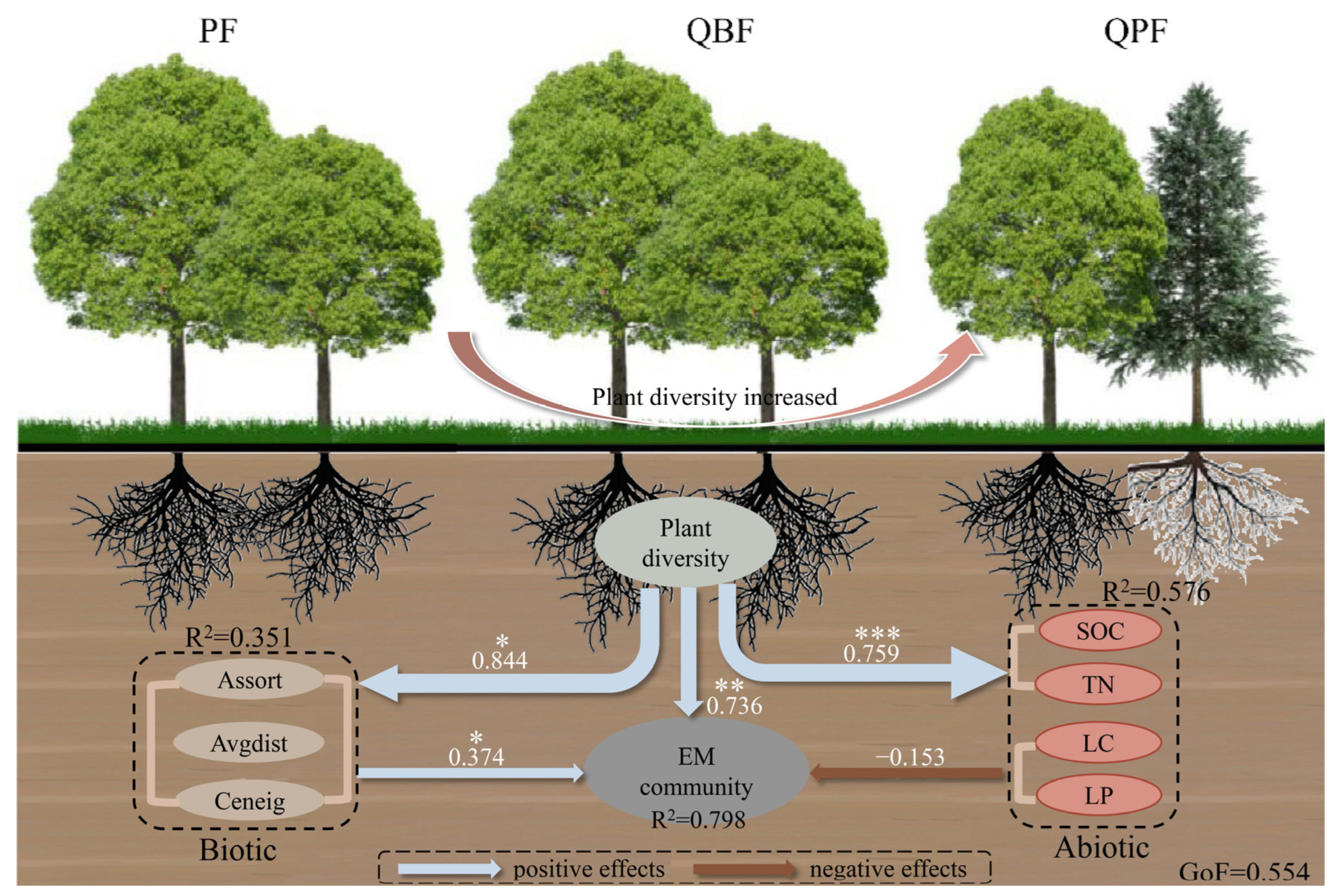 Microorganisms 12 01718 g004 Microorganisms 12 01718 g004