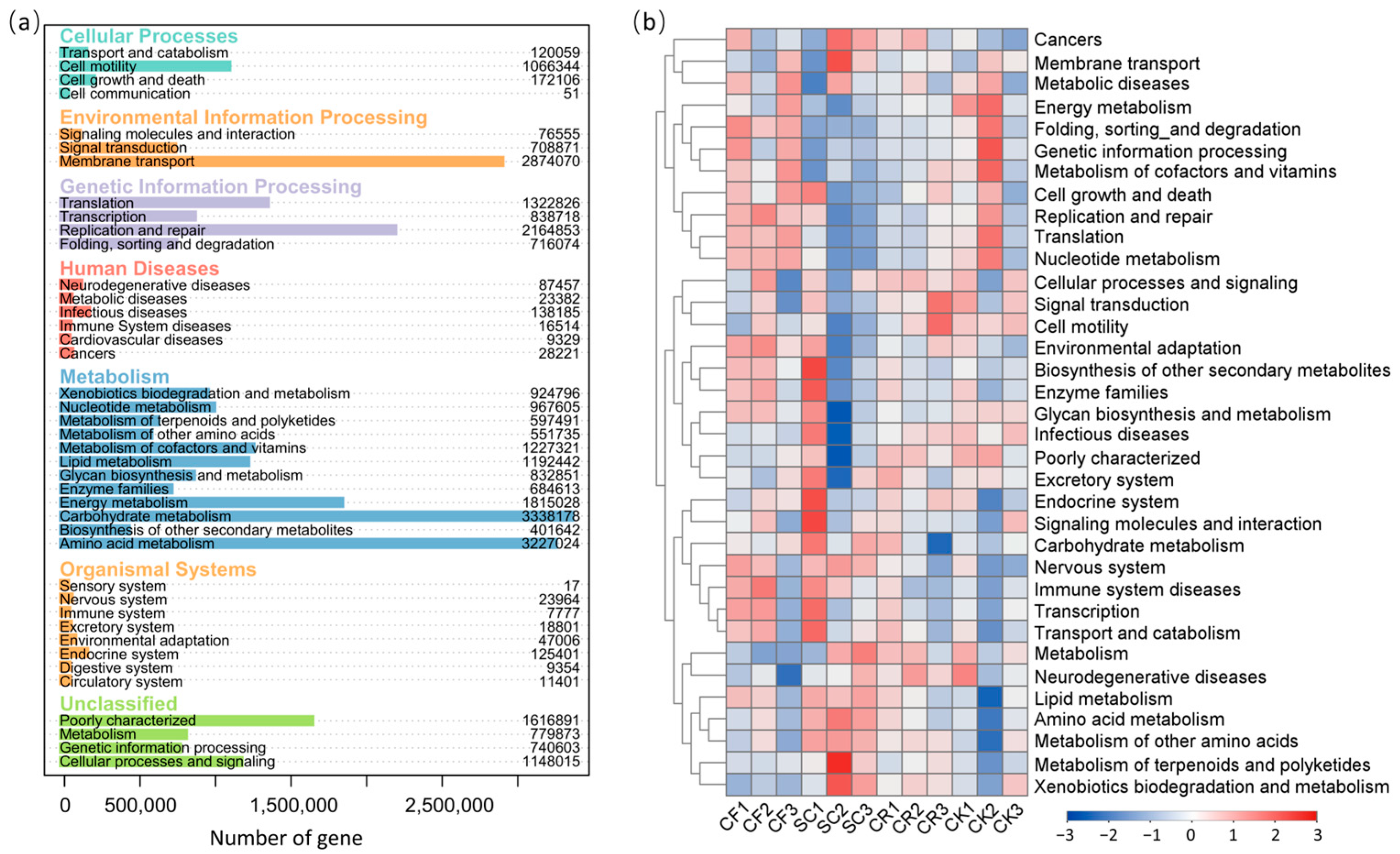 Microorganisms 12 01721 g007