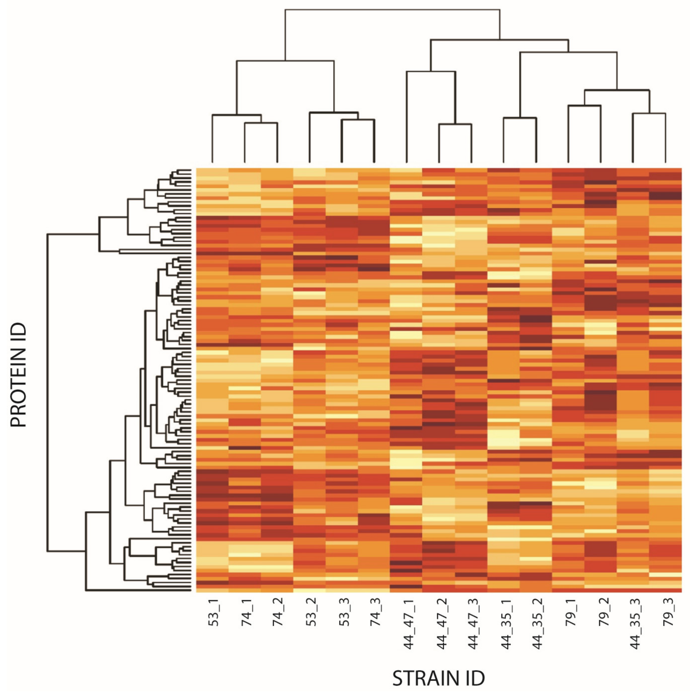 Microorganisms 12 01725 g002