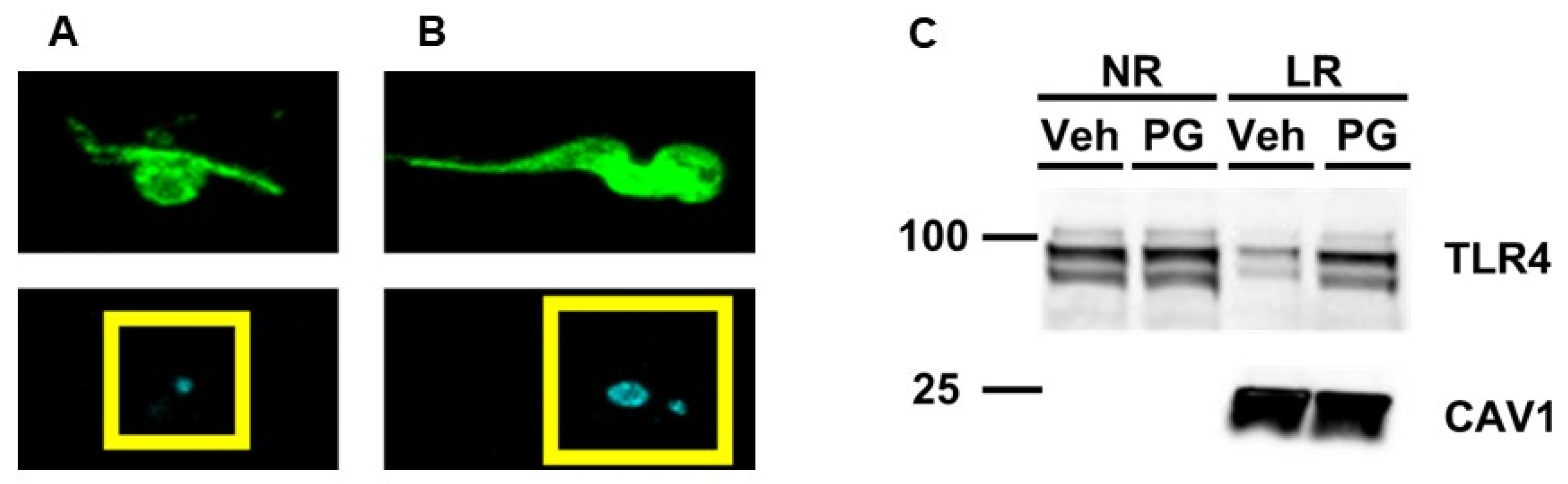 Microorganisms 12 01730 g001