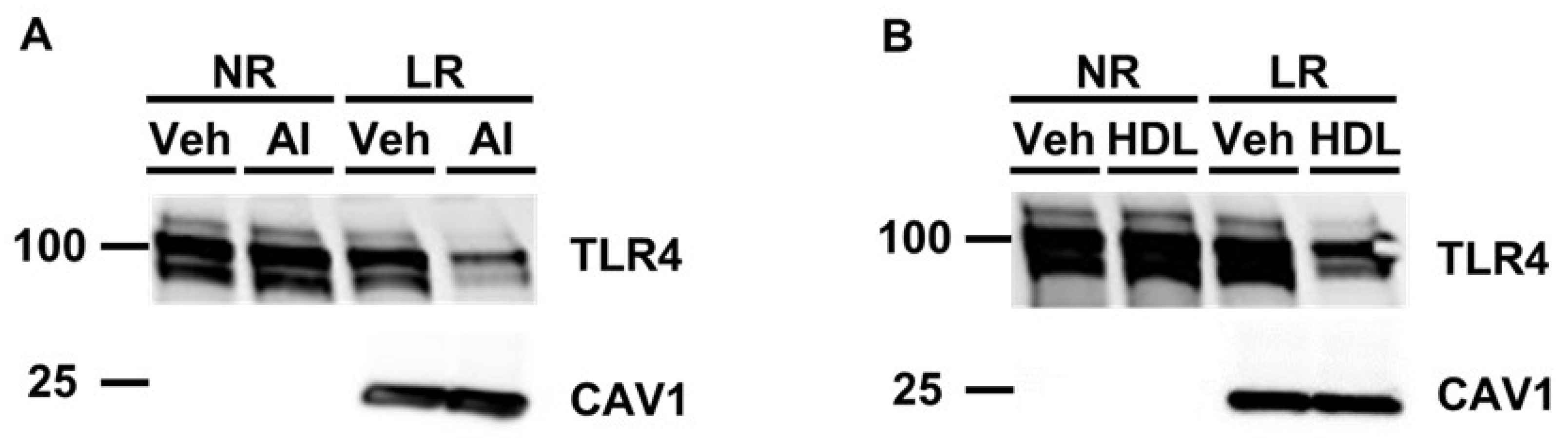 Microorganisms 12 01730 g002