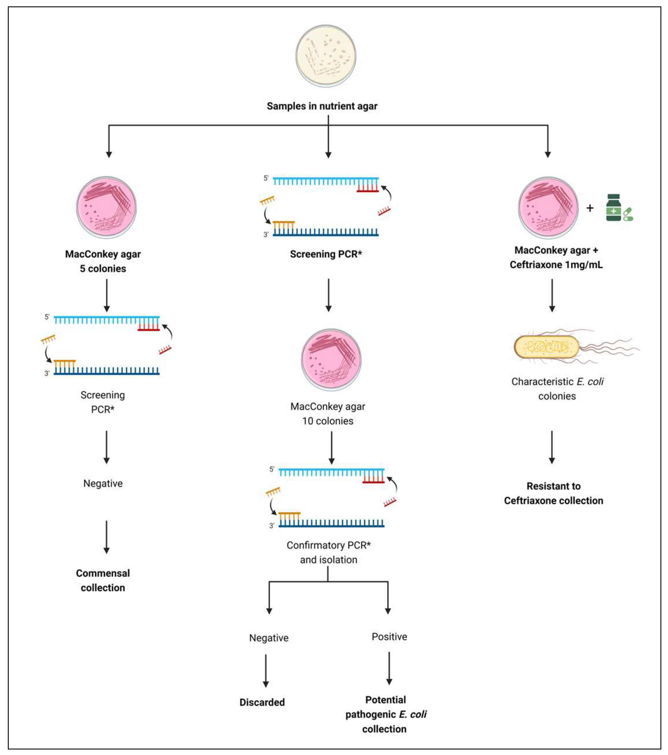 Microorganisms 12 01739 g001