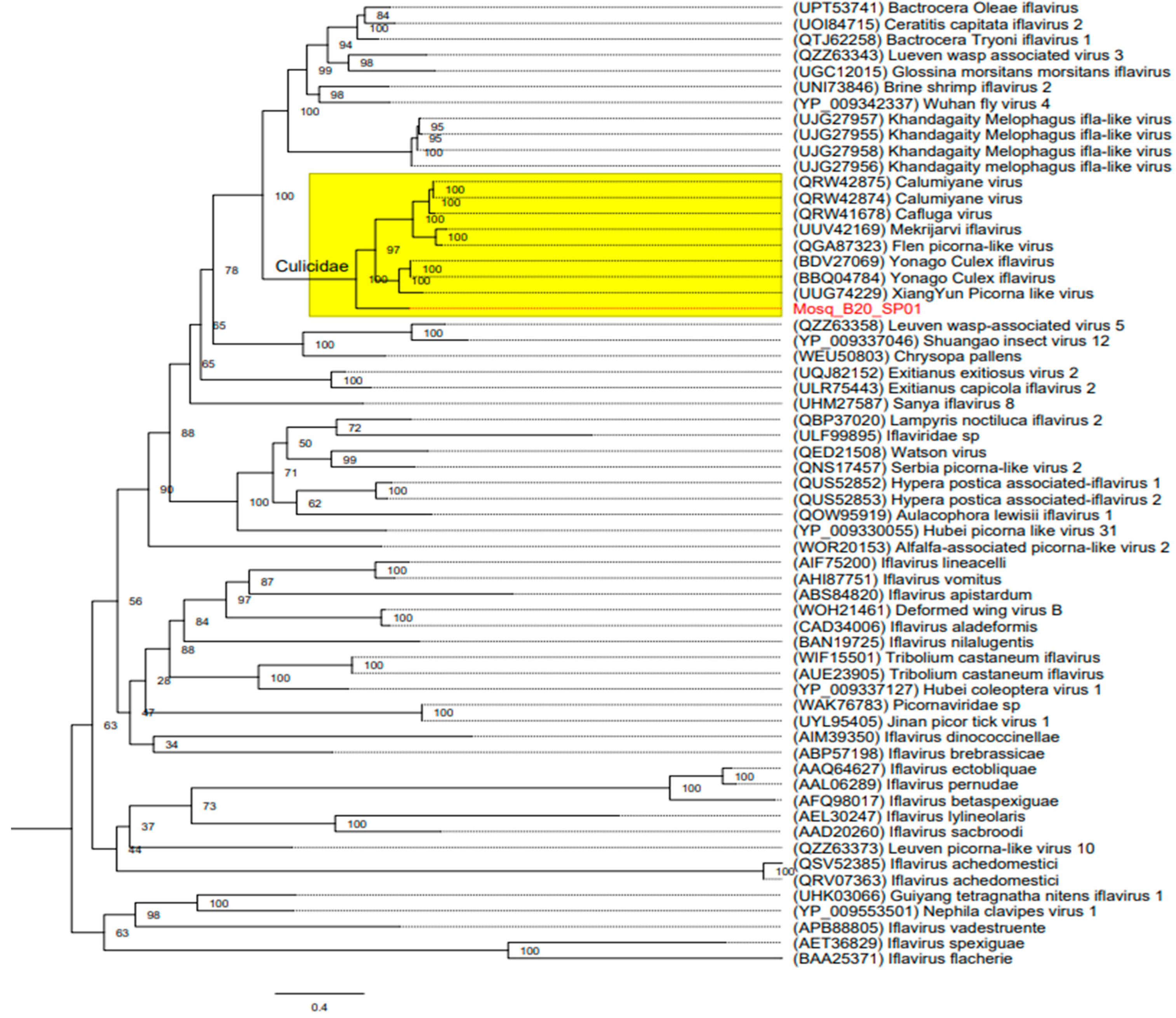 Microorganisms 12 01749 g004
