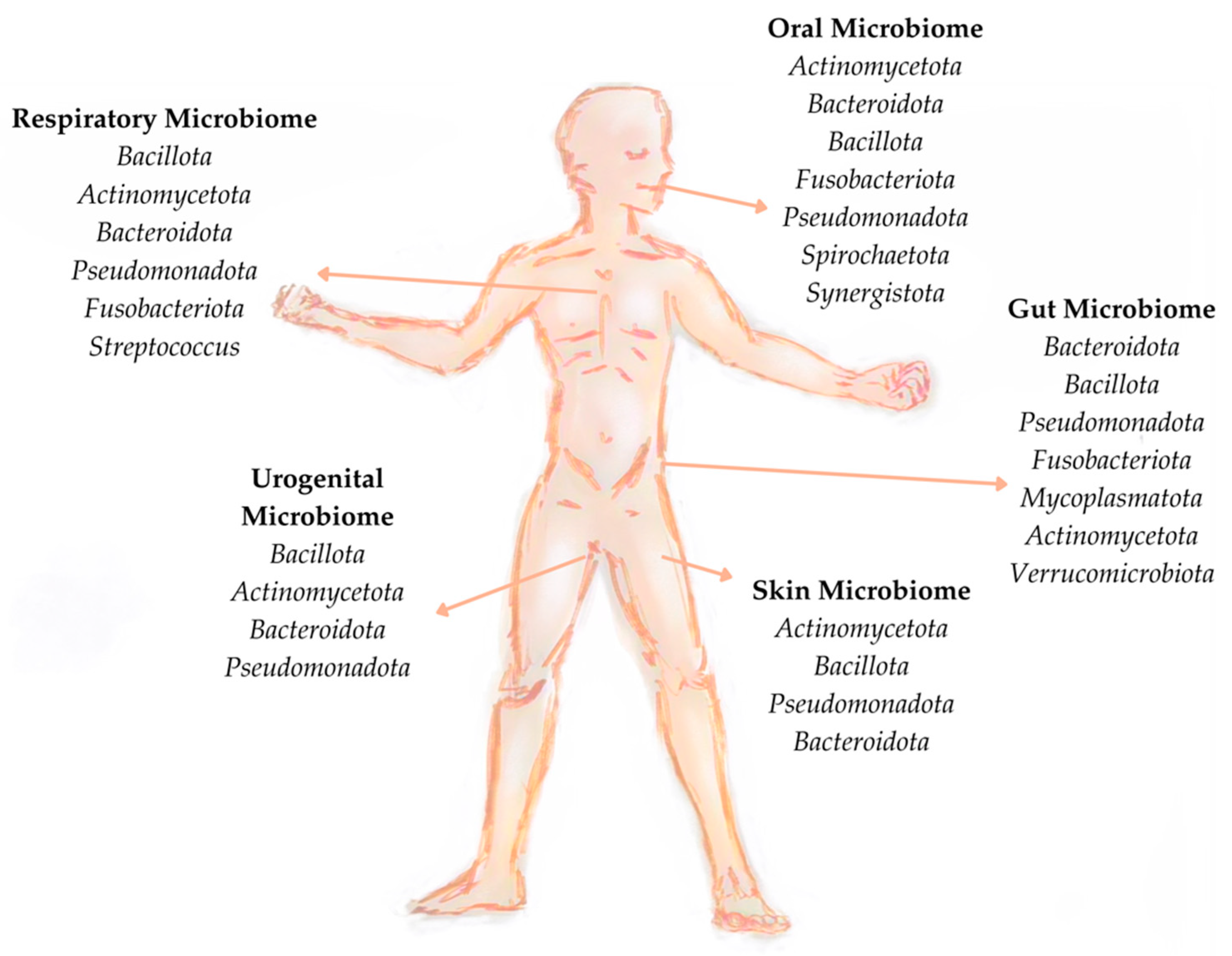 Microorganisms 12 01750 g001