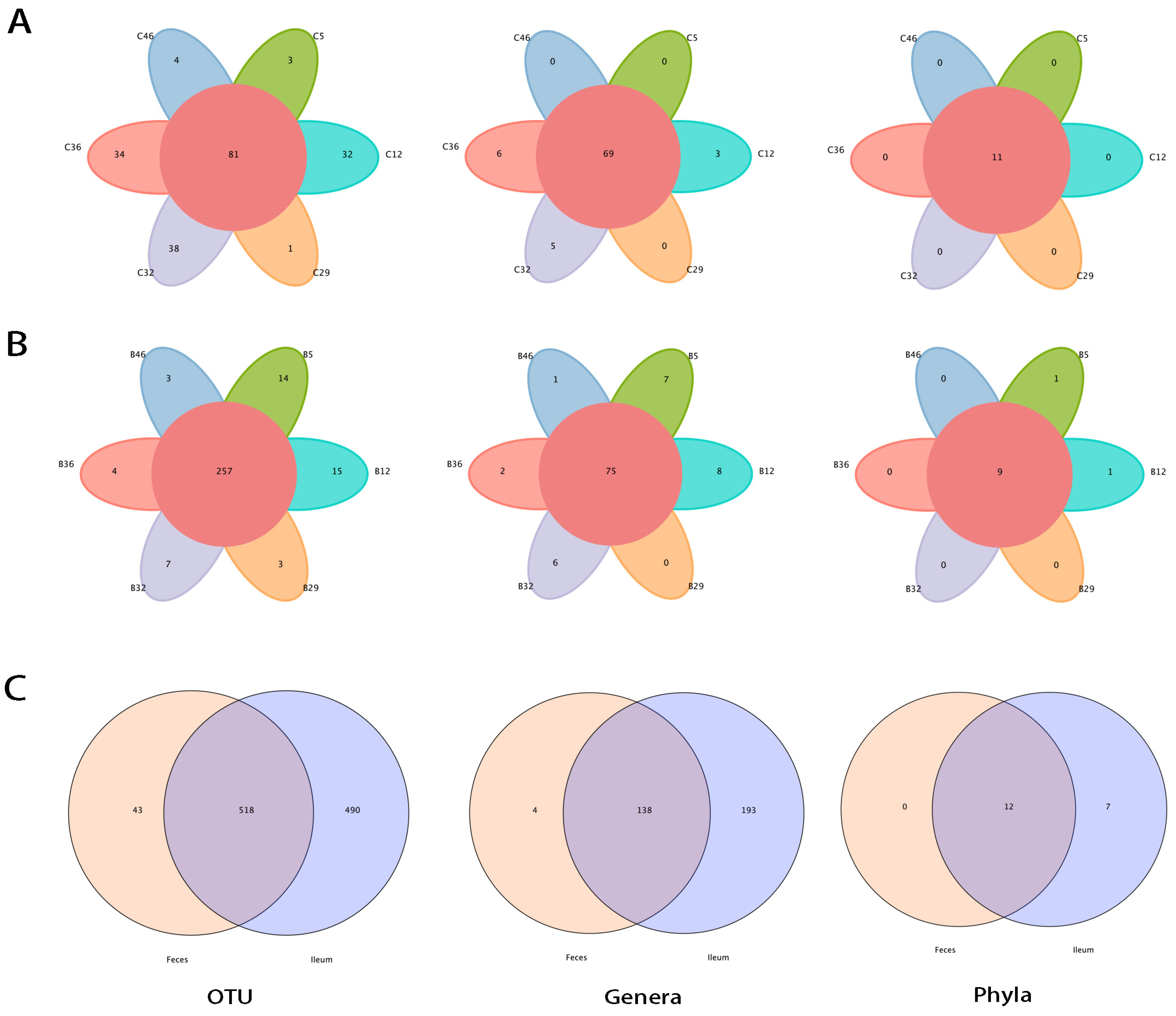 Microorganisms 12 01764 g002