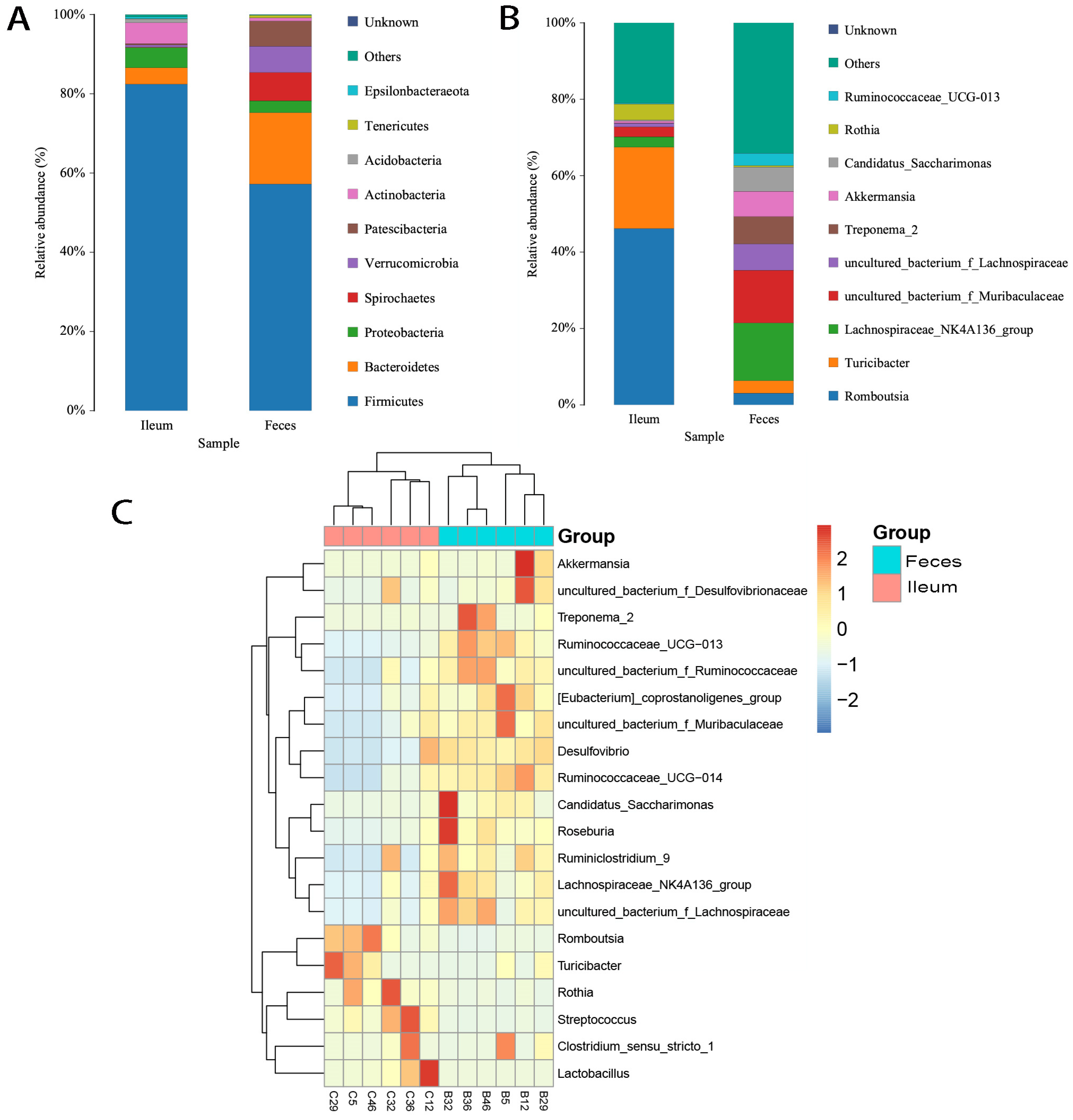 Microorganisms 12 01764 g003