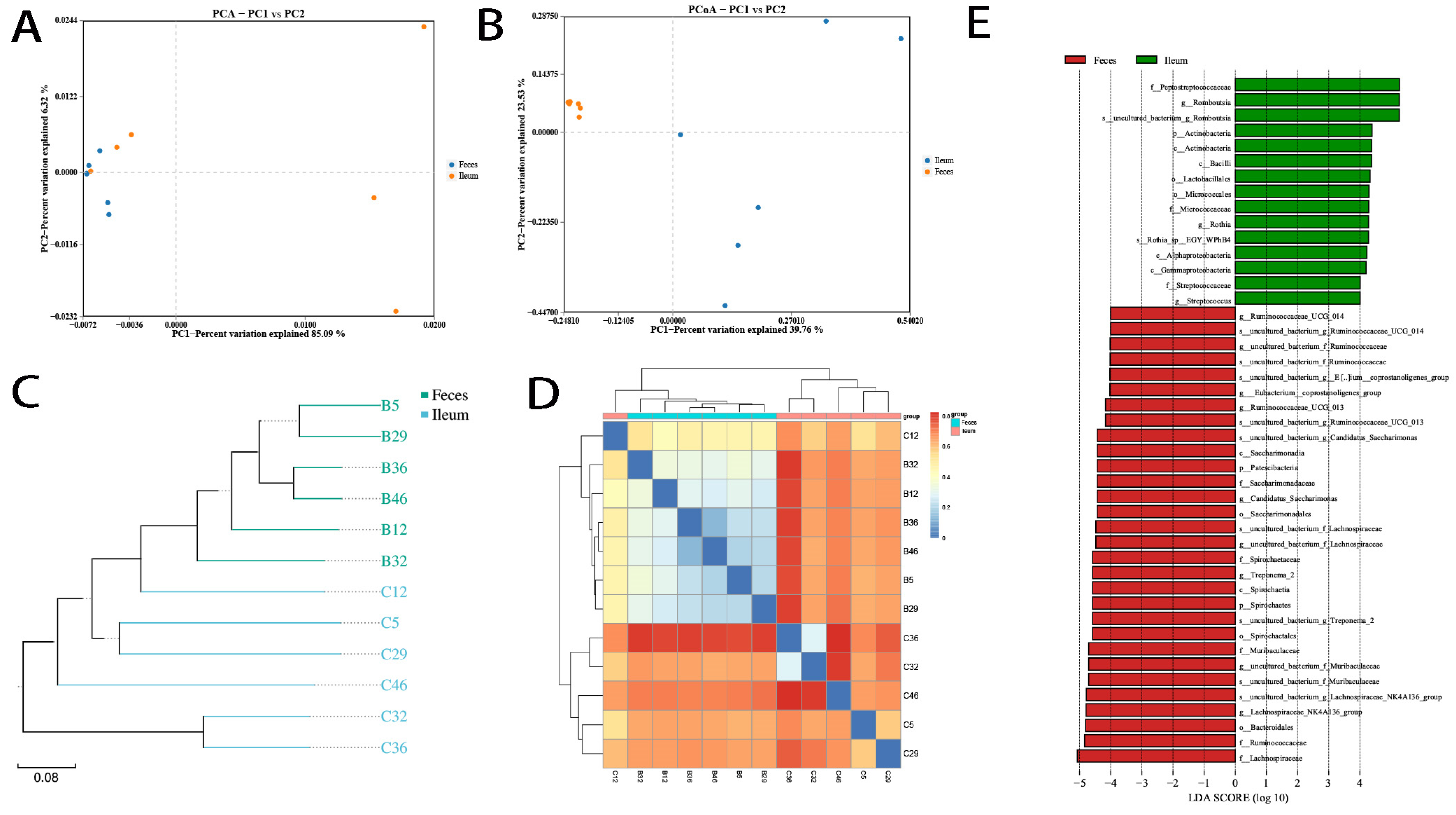Microorganisms 12 01764 g004