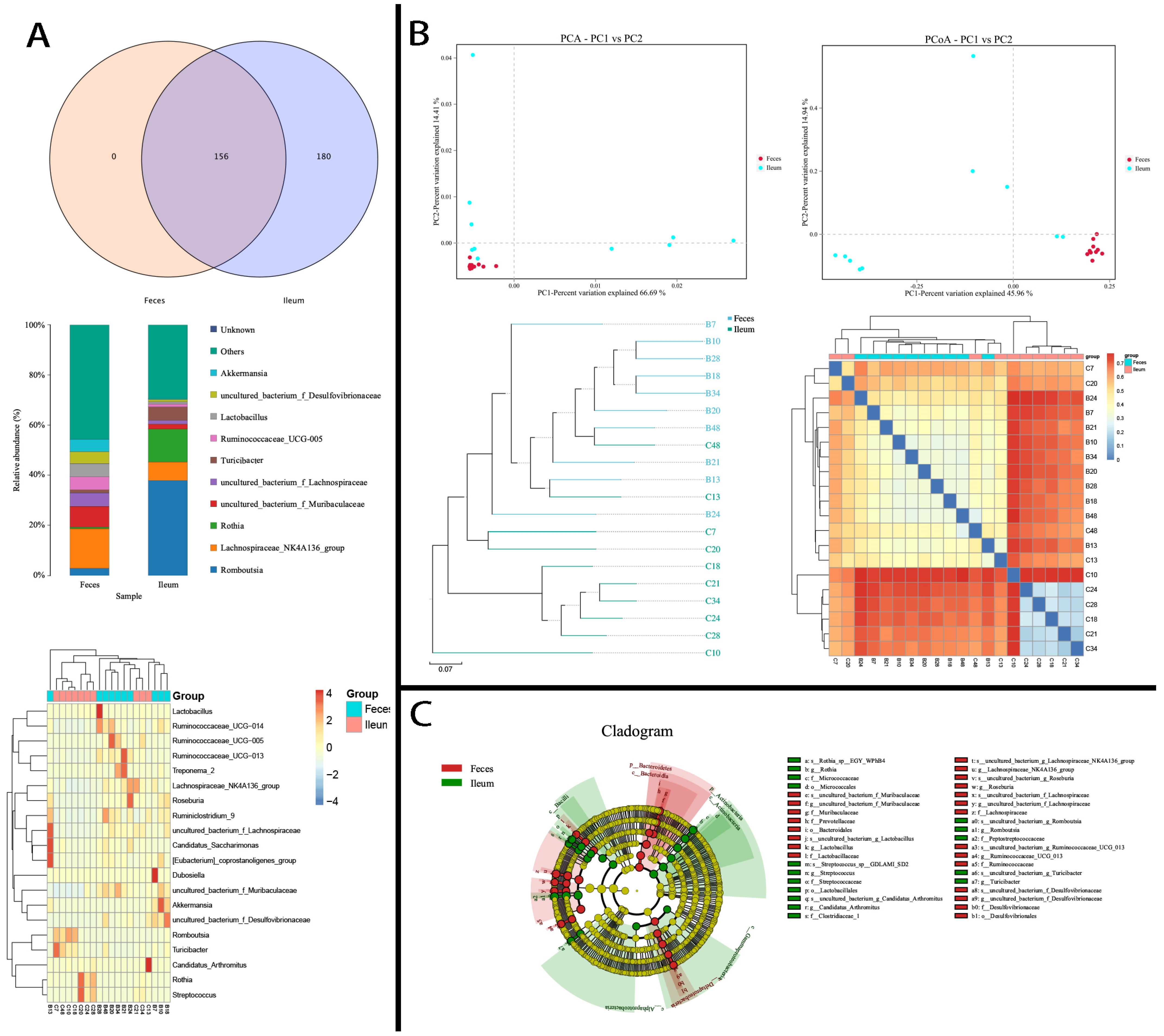 Microorganisms 12 01764 g005