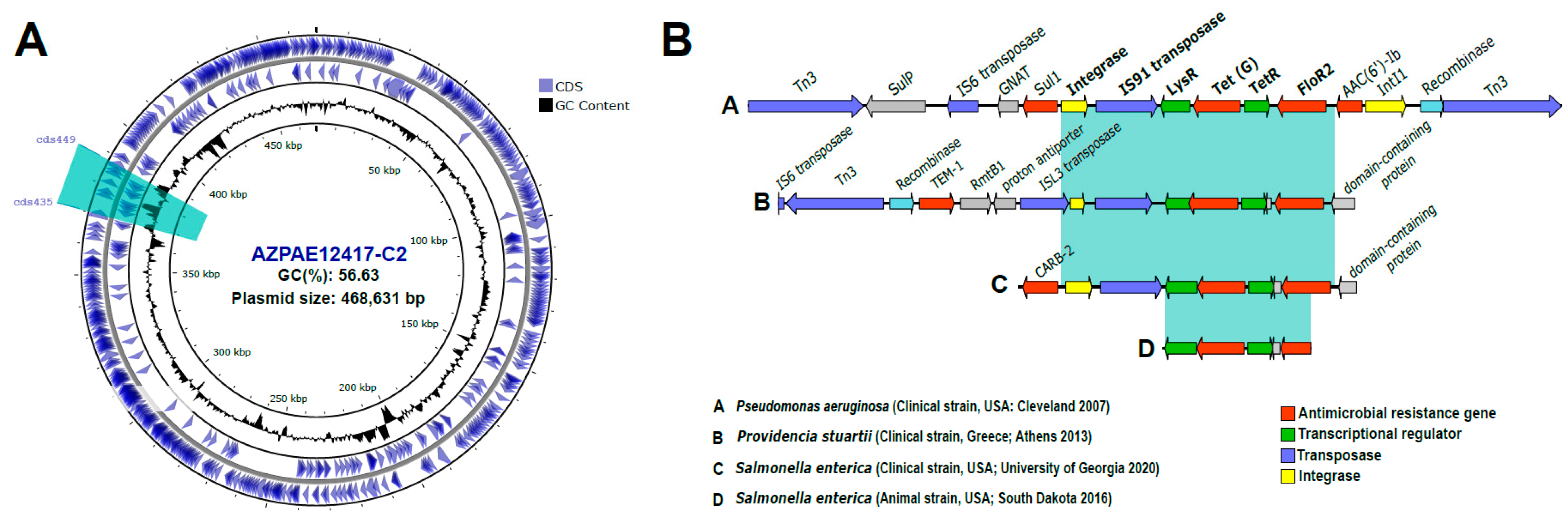 Microorganisms 12 01770 g003